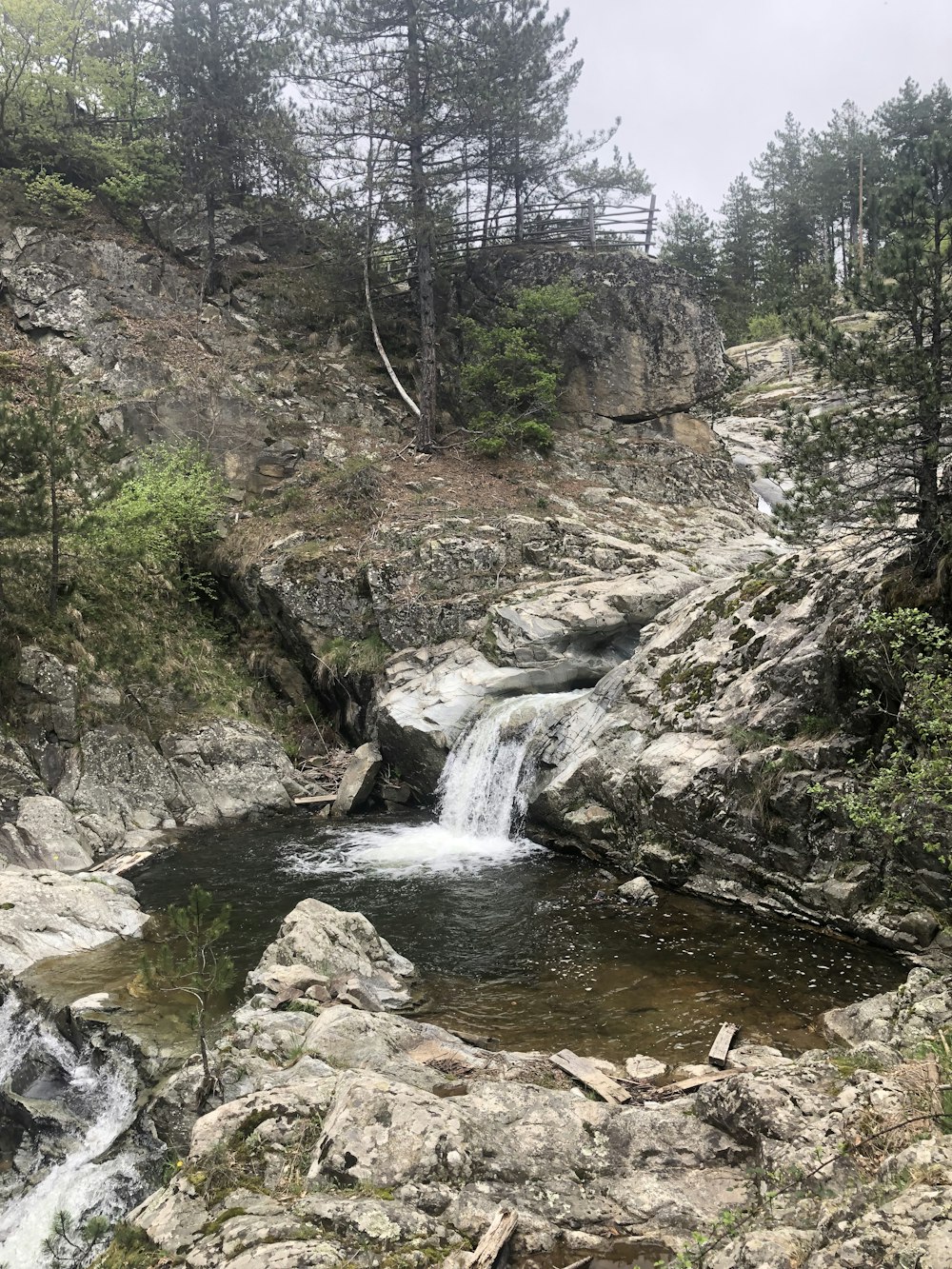 a small waterfall in a forest