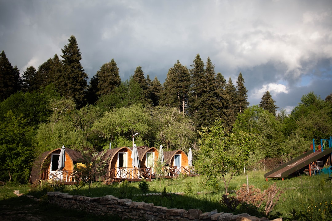 a group of buildings surrounded by trees,