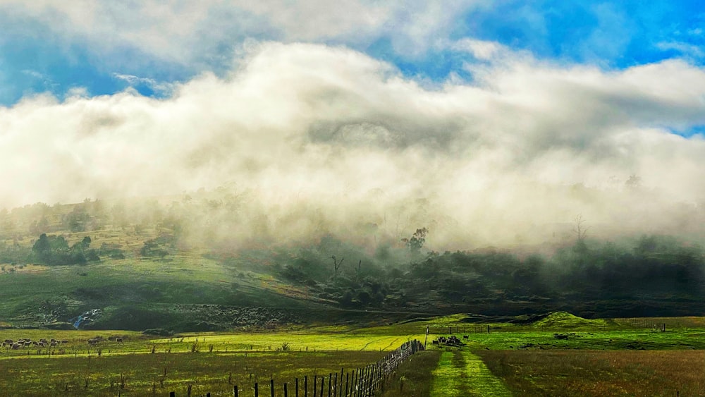 Un paisaje con una valla y árboles