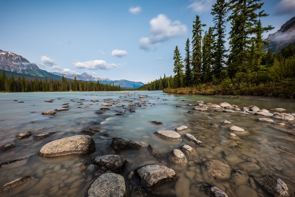 a river with rocks and trees