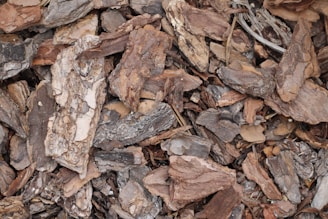 organic mulch