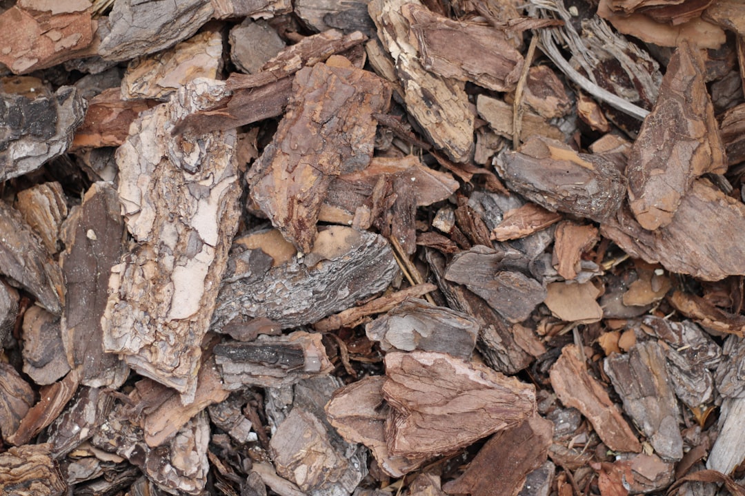 bark mulch in gardens