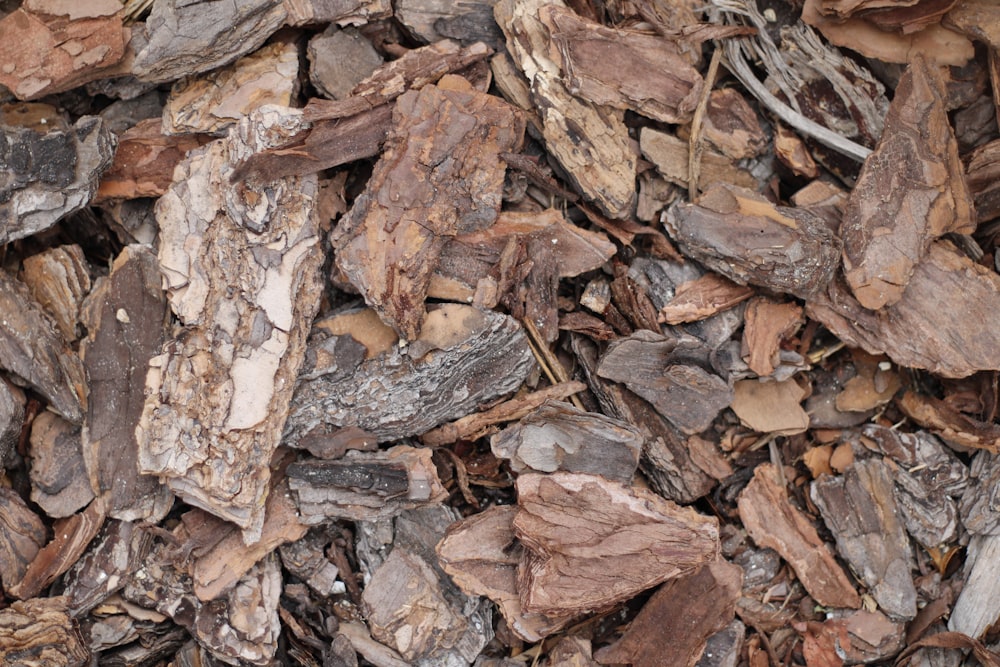 a pile of brown leaves