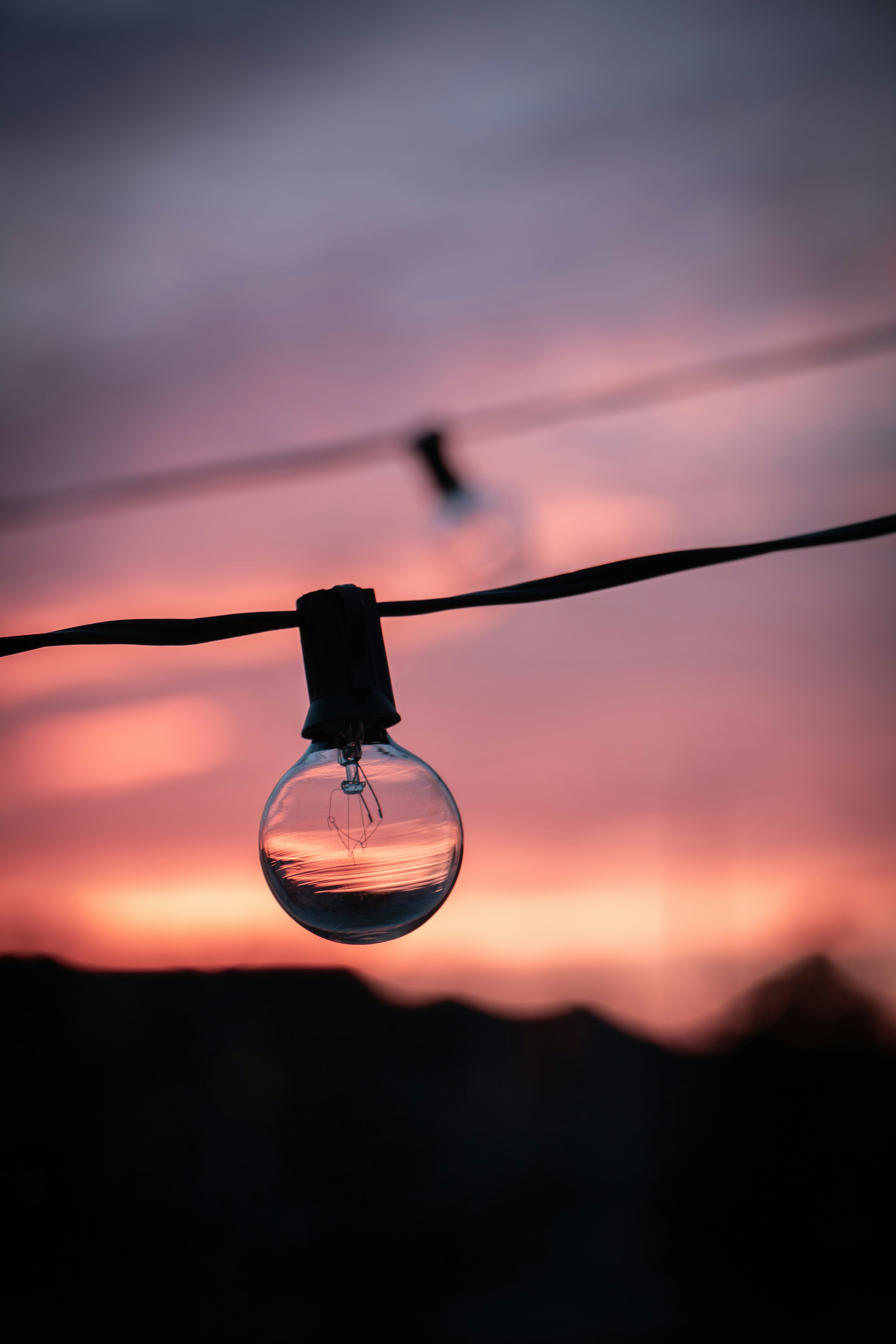 a bird flying over a light