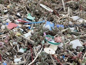 Key Strategies for Successful Plastic-Free Implementation