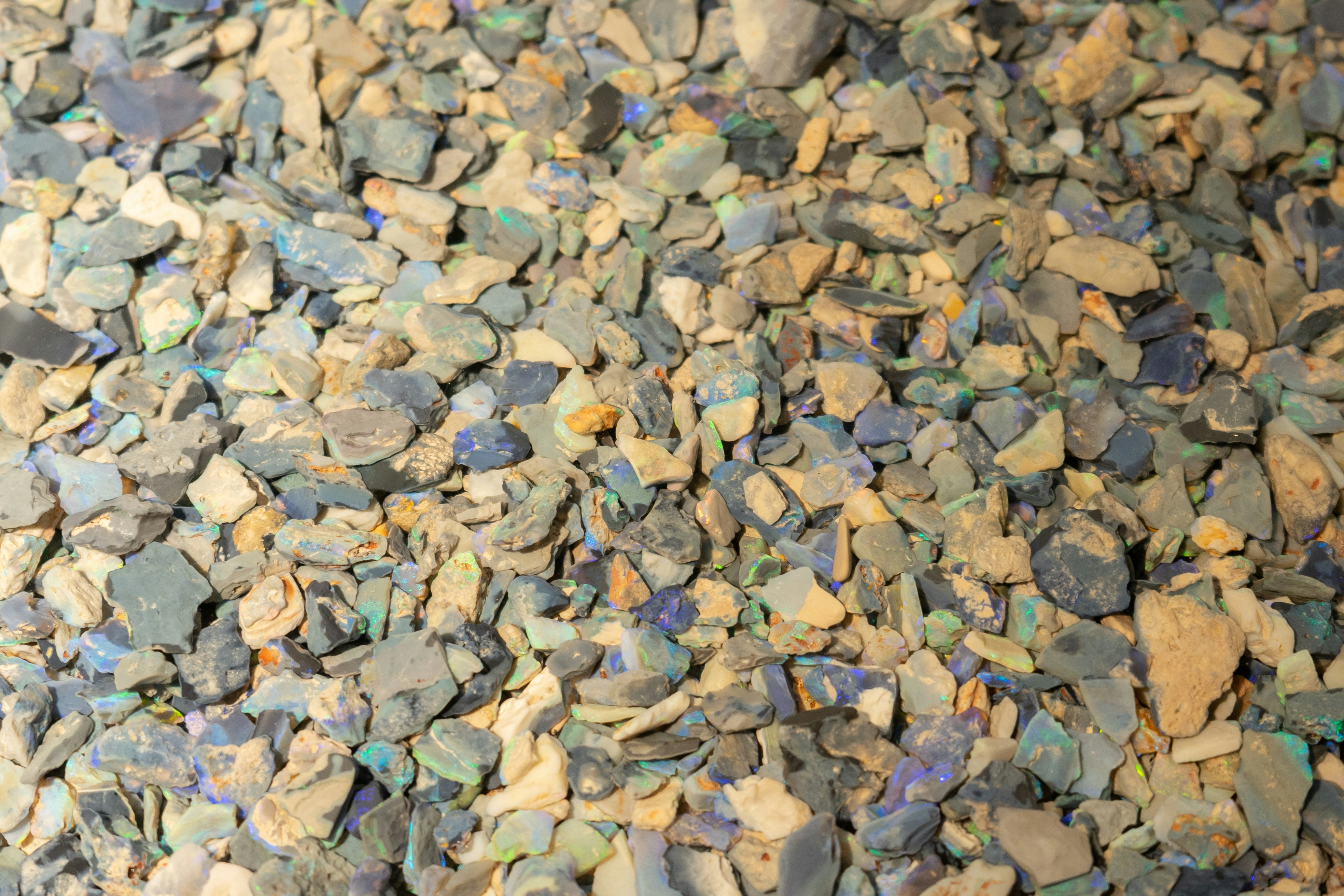 Photo by brianwangenheim