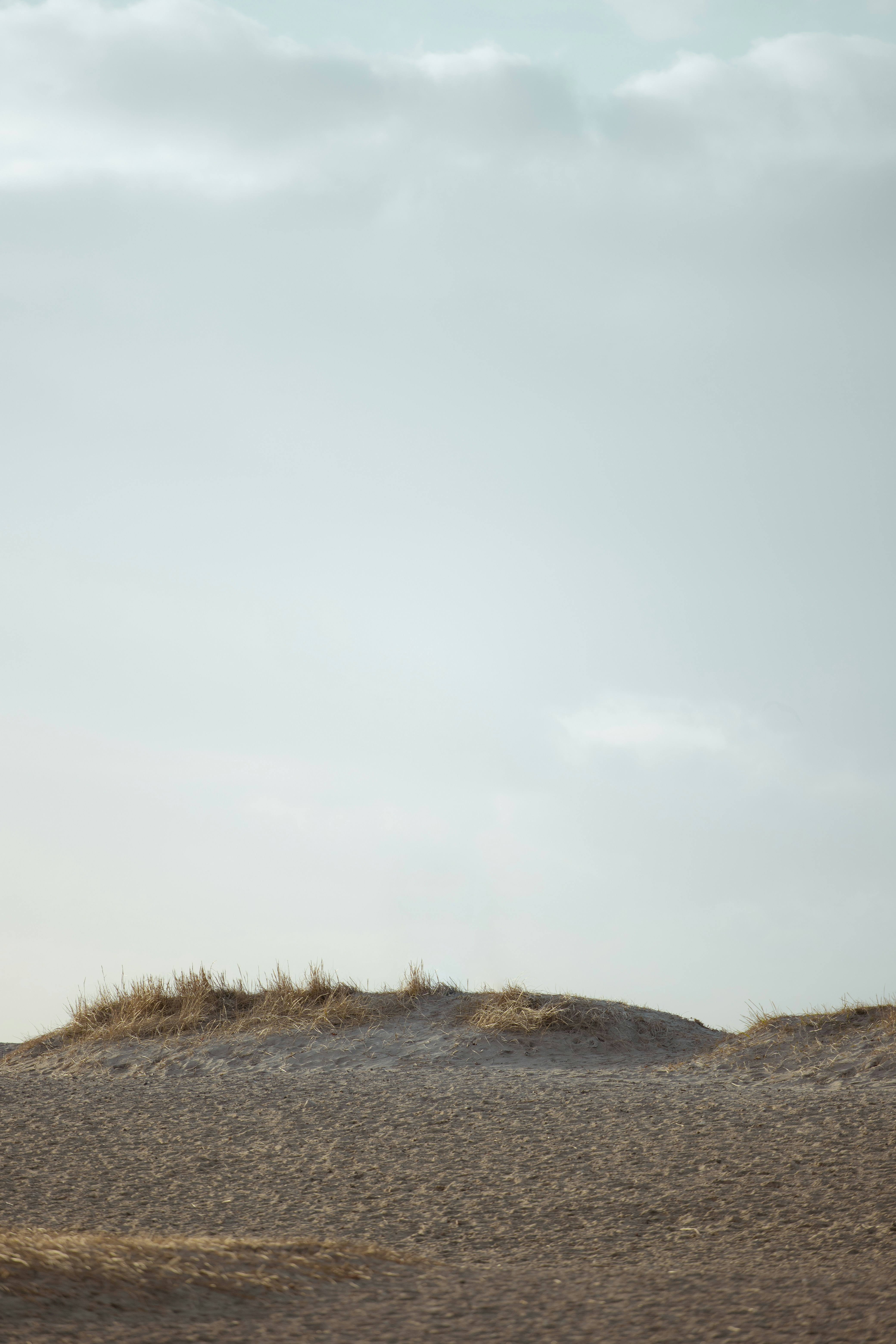 Photo by karlhornfeldt