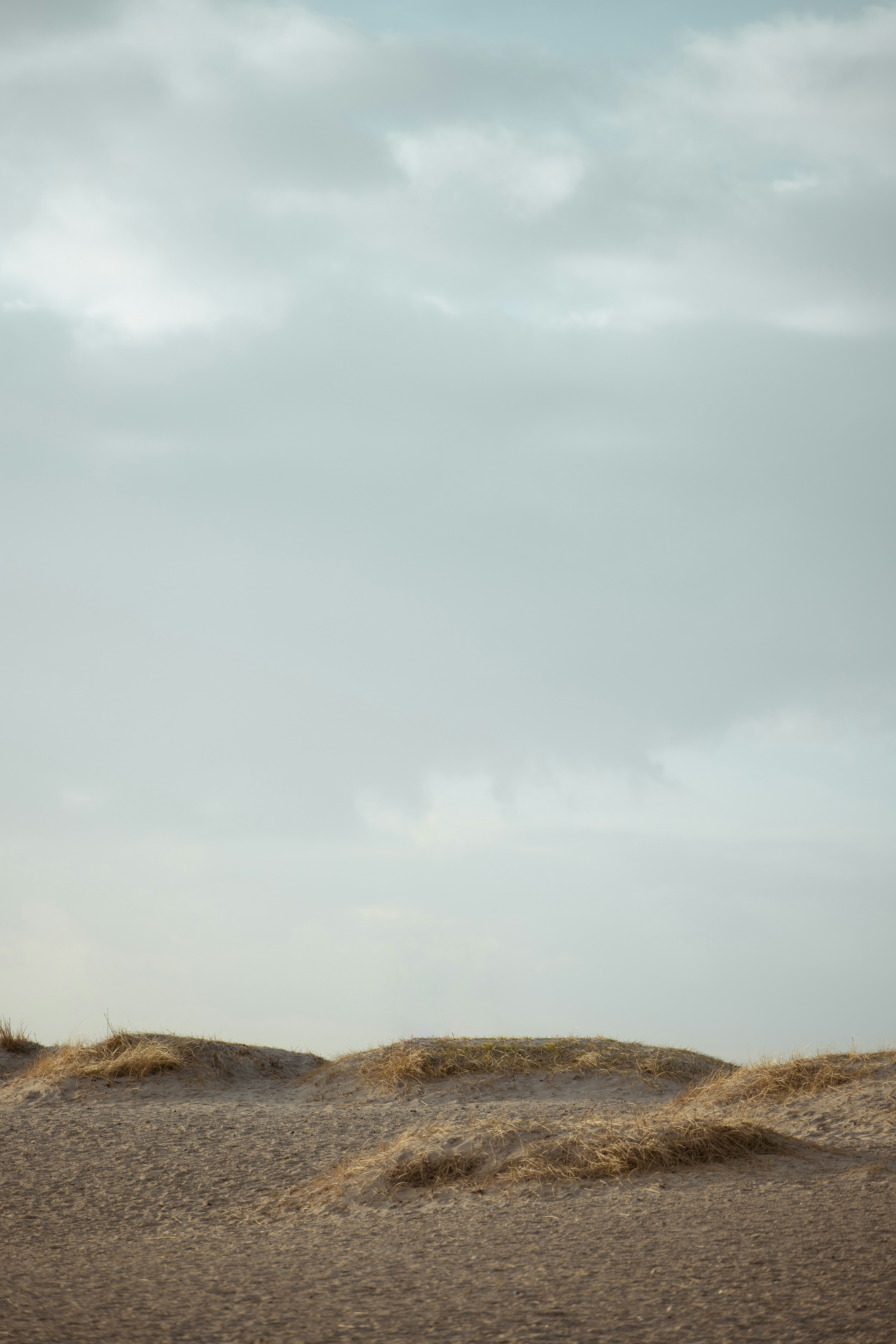 Photo by karlhornfeldt