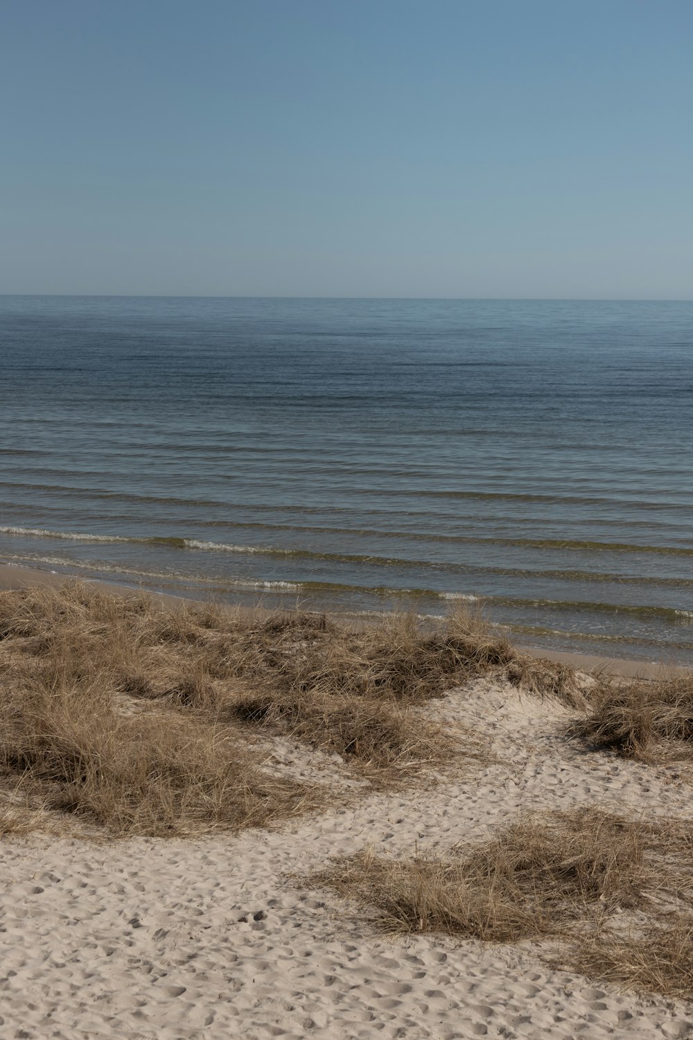 a sandy beach with water in the background