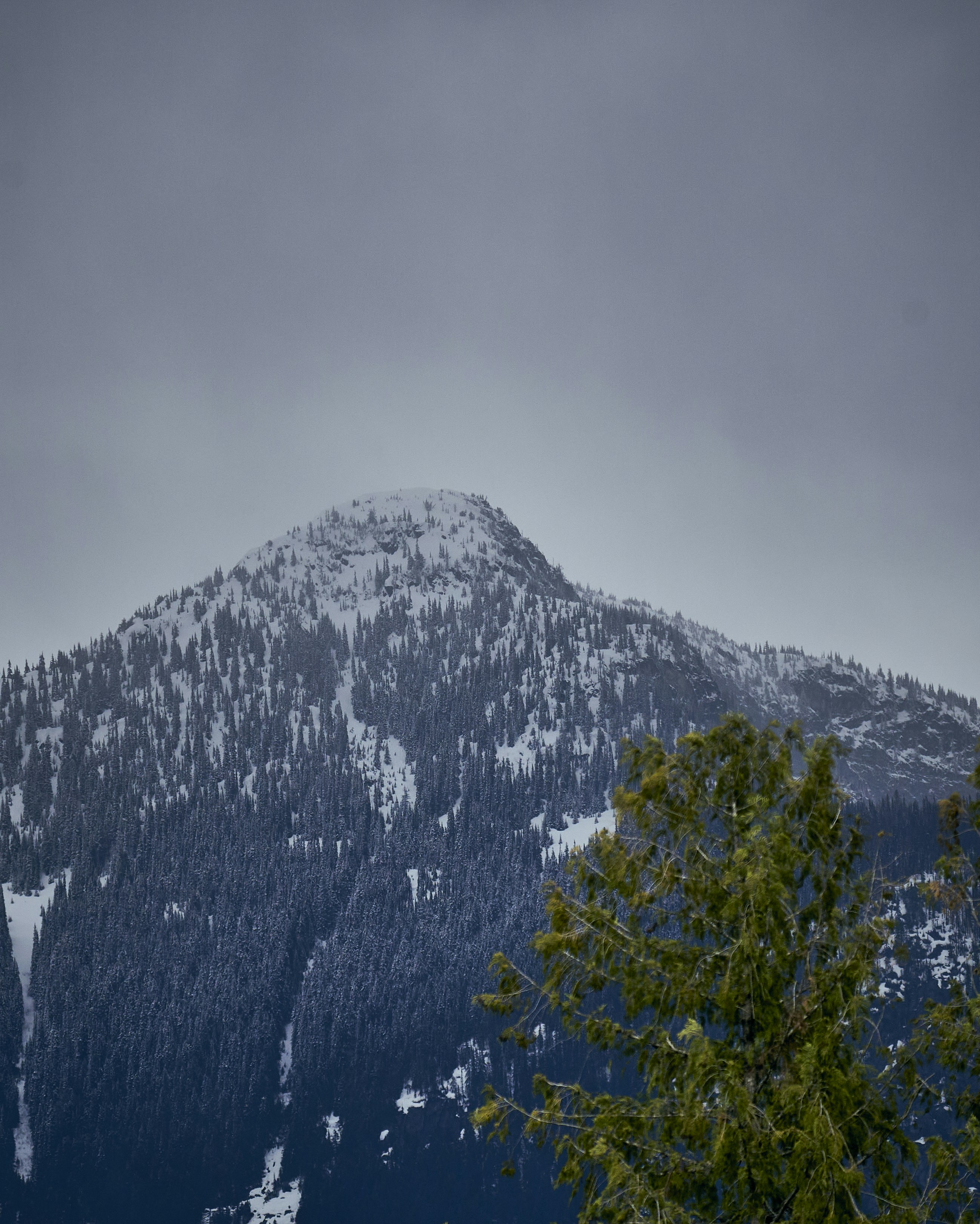 Photo by suicide_chewbacca