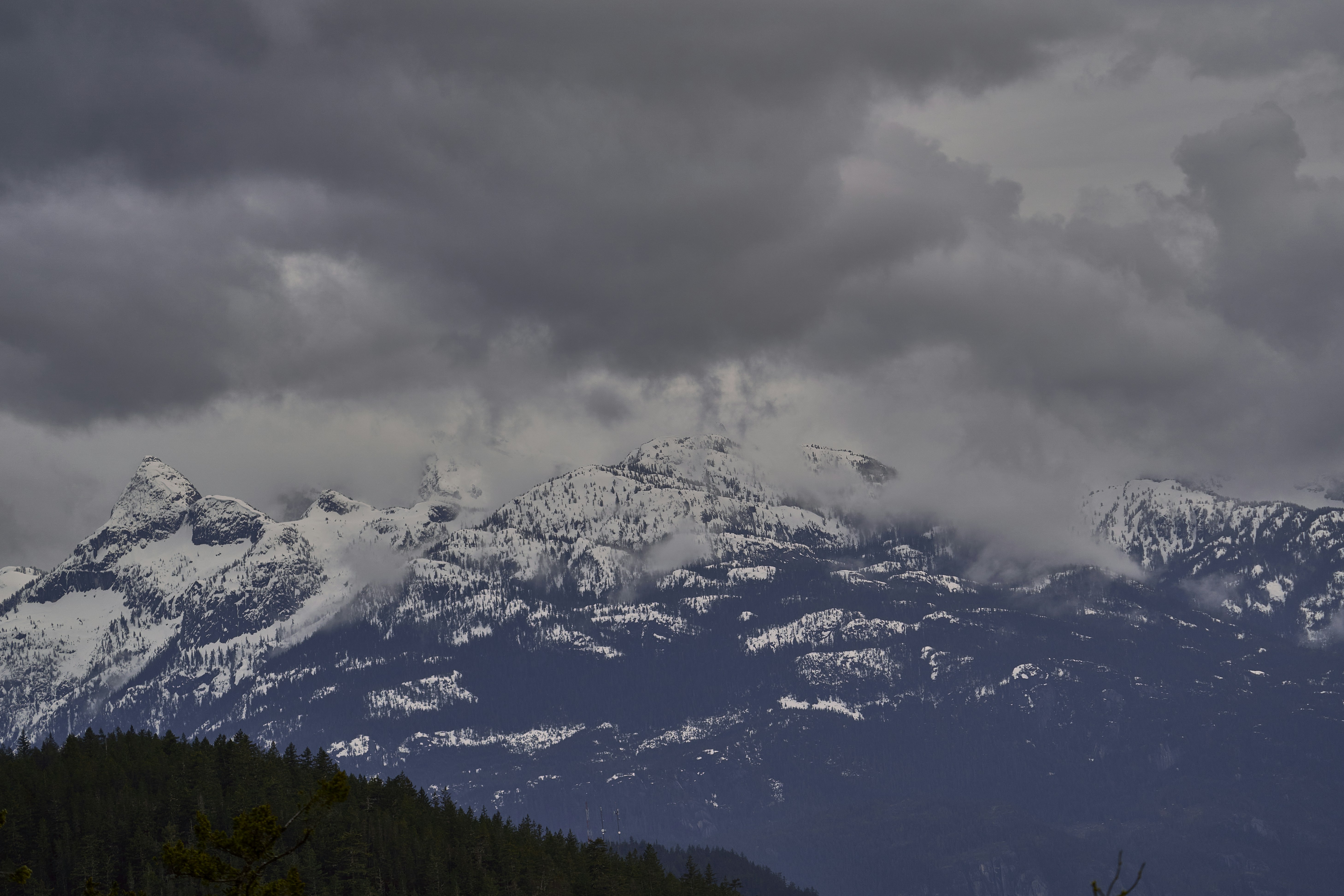 Photo by suicide_chewbacca