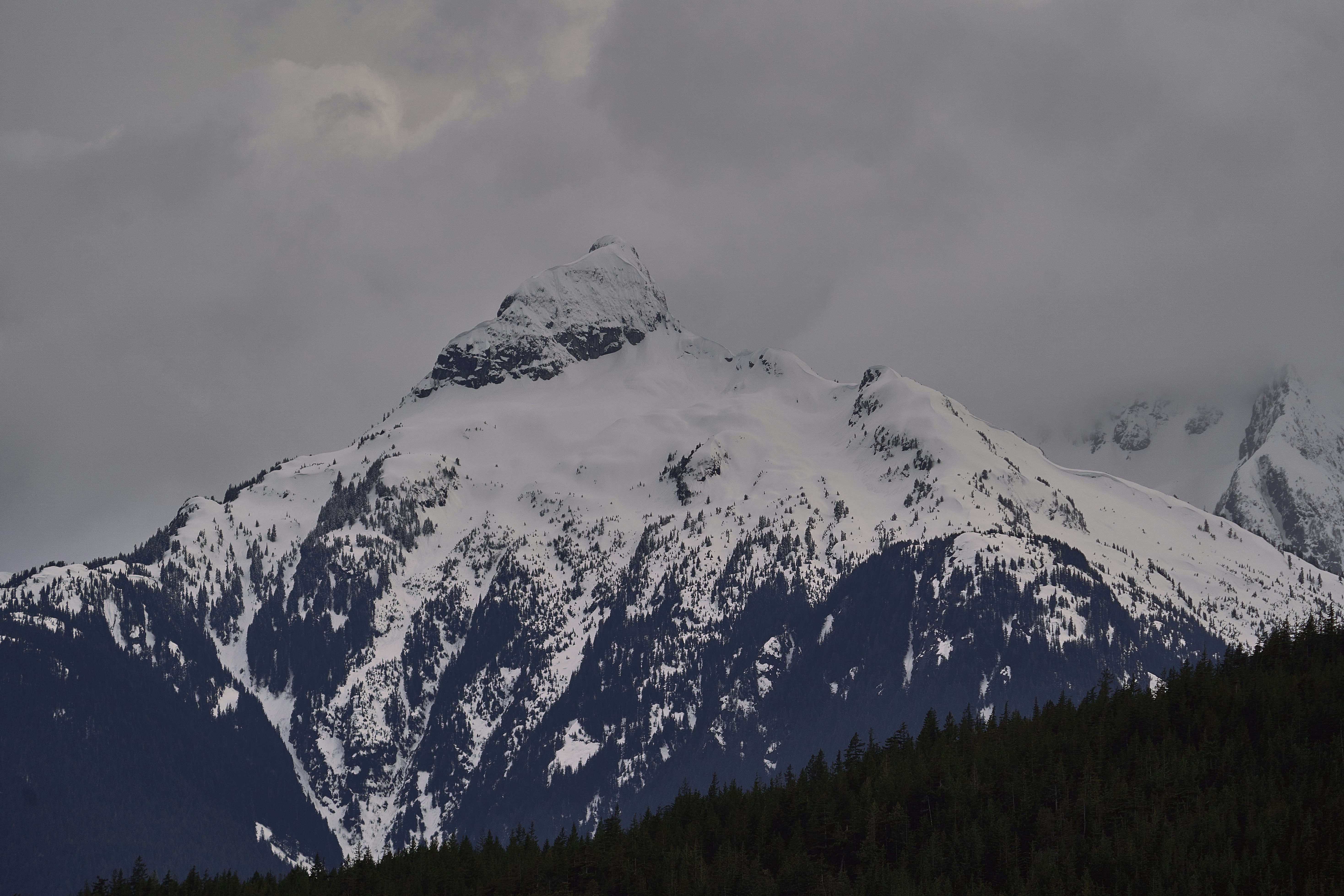 Photo by suicide_chewbacca