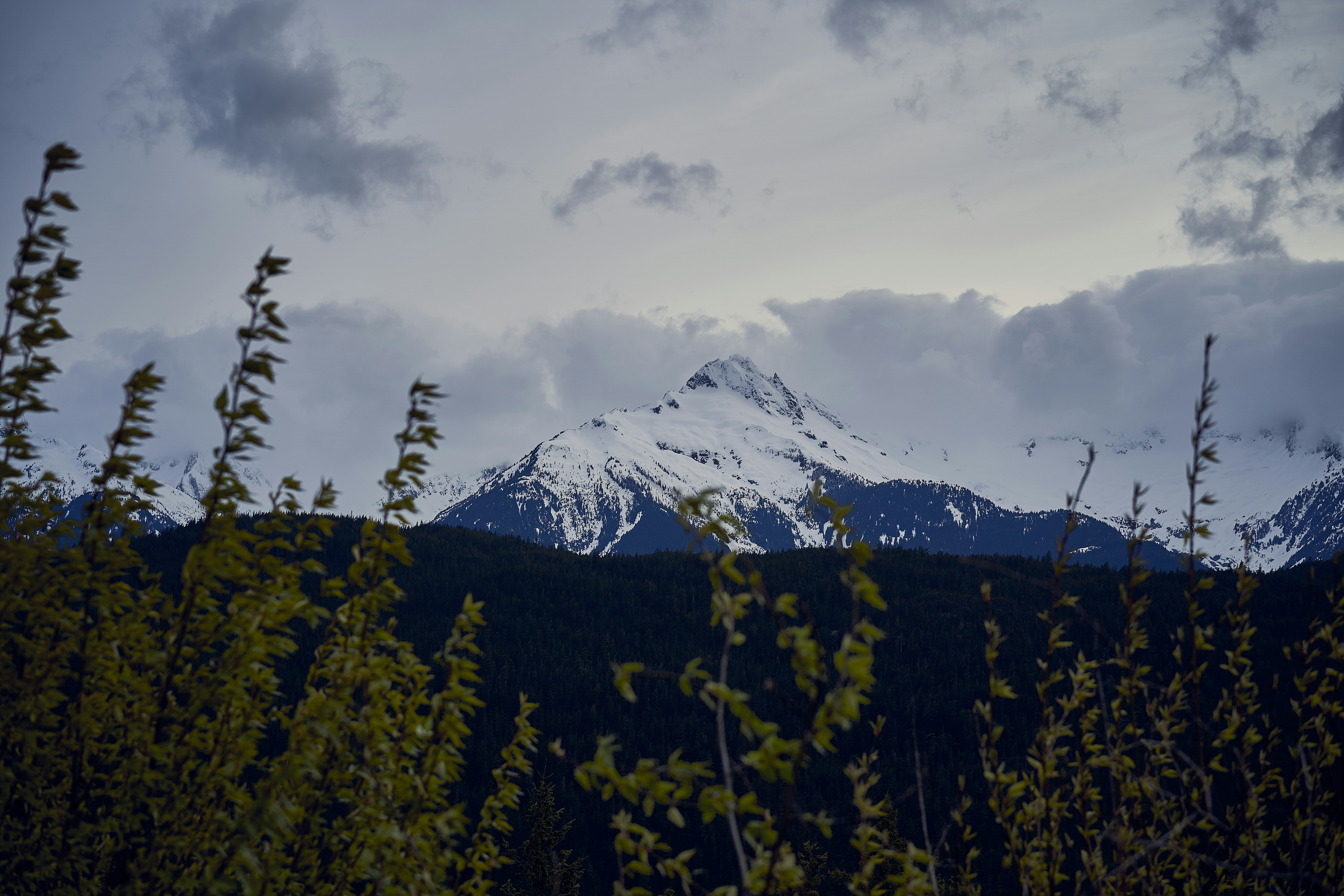 Photo by suicide_chewbacca