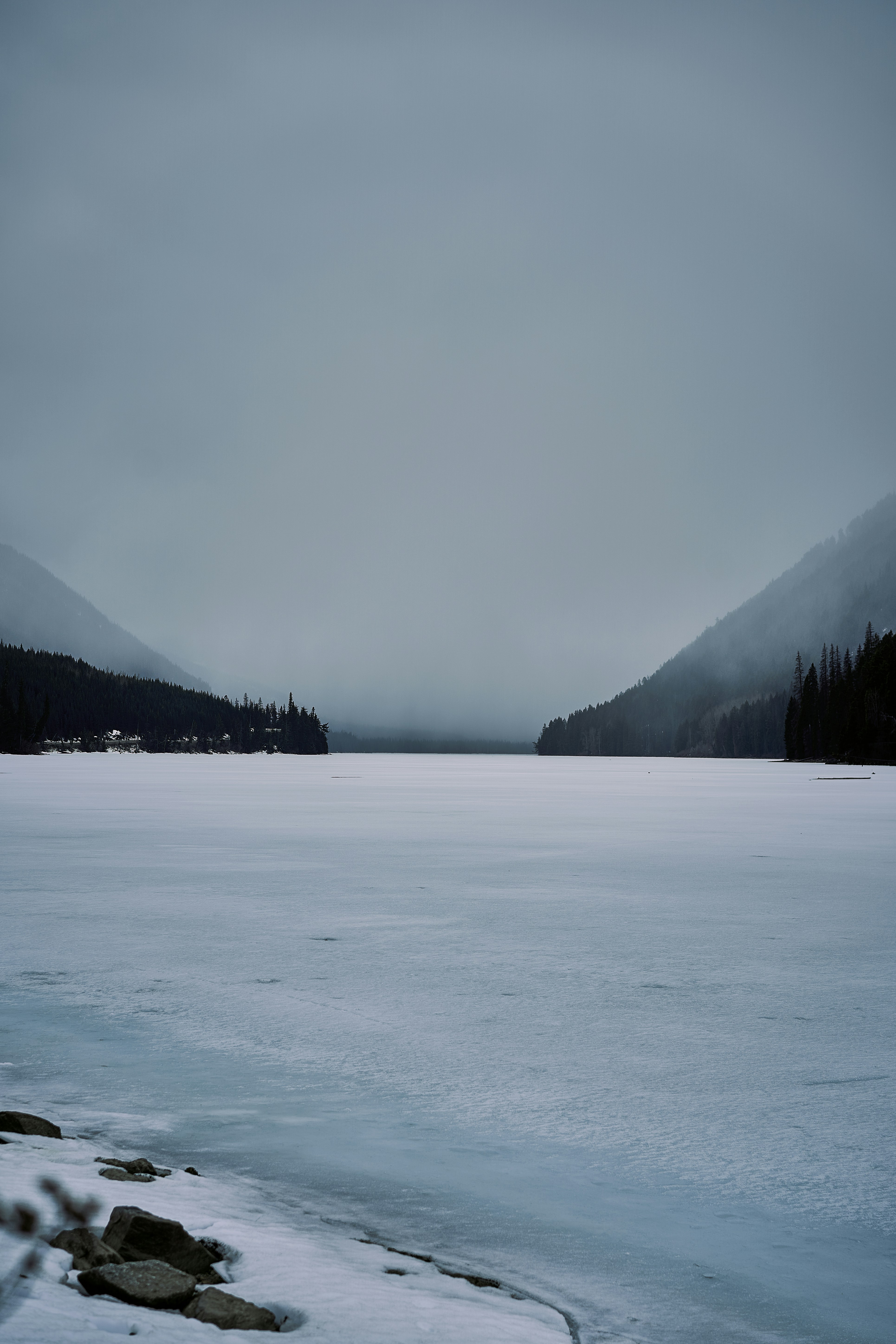 Photo by suicide_chewbacca