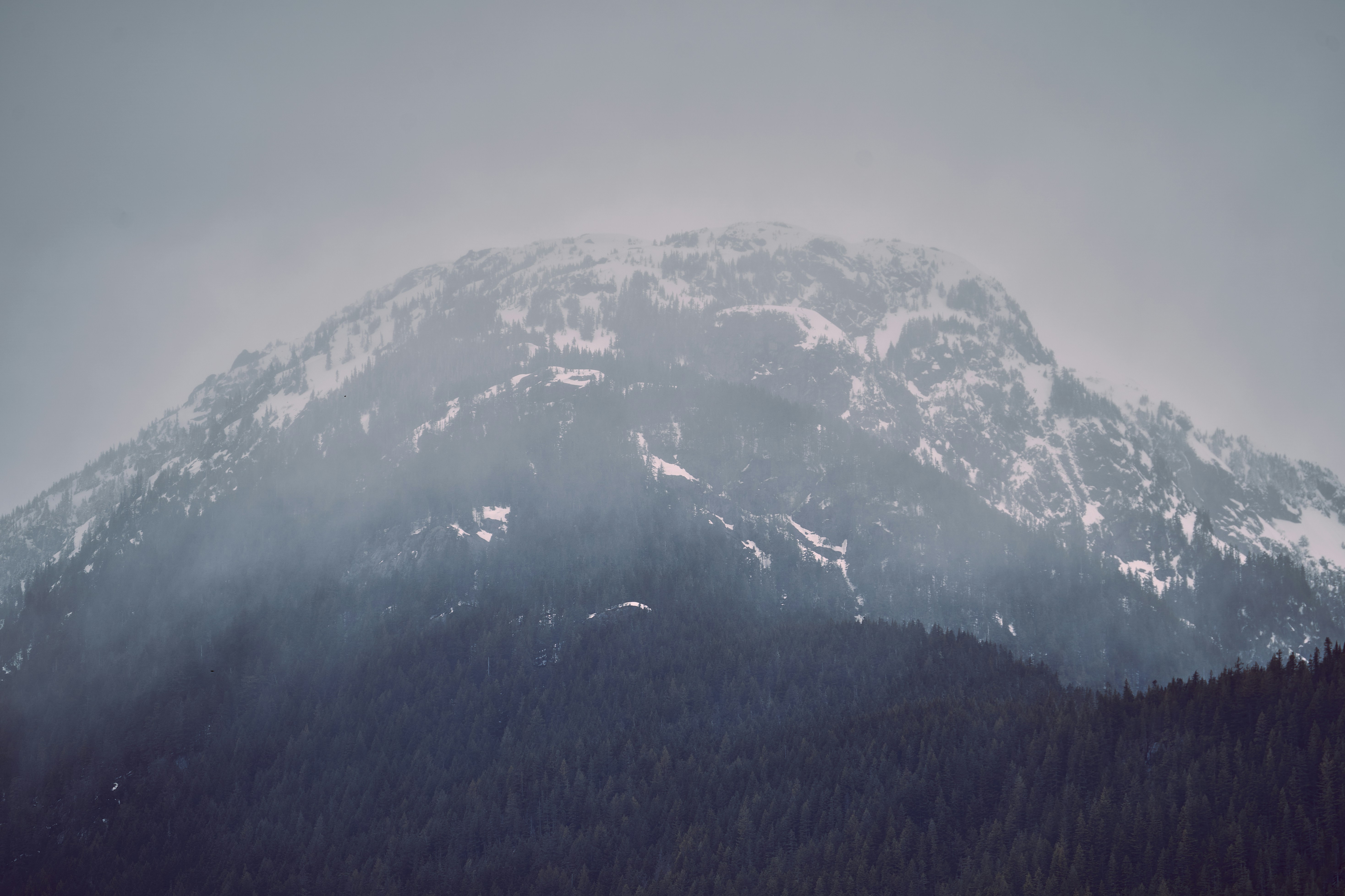 Photo by suicide_chewbacca