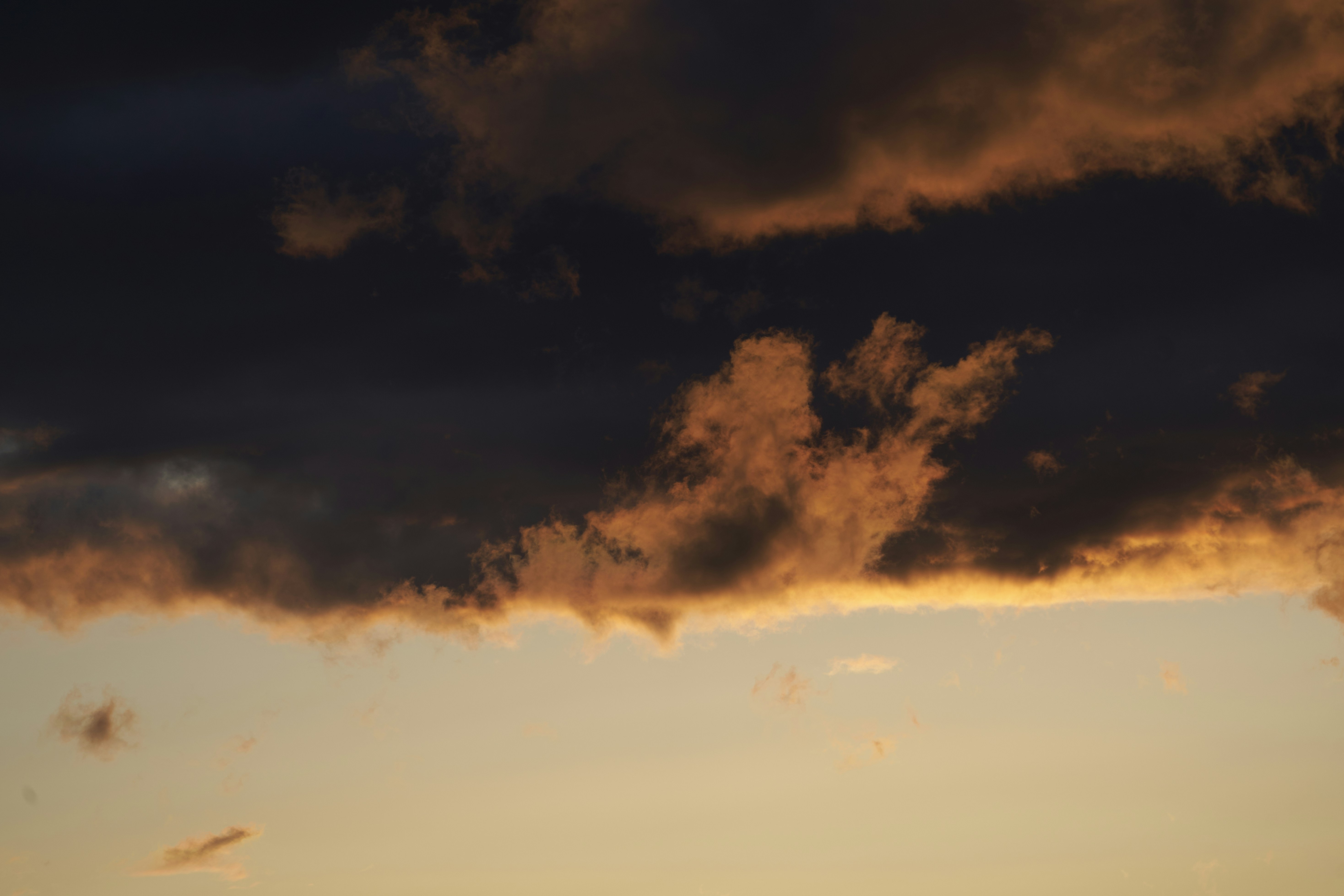 Photo by suicide_chewbacca