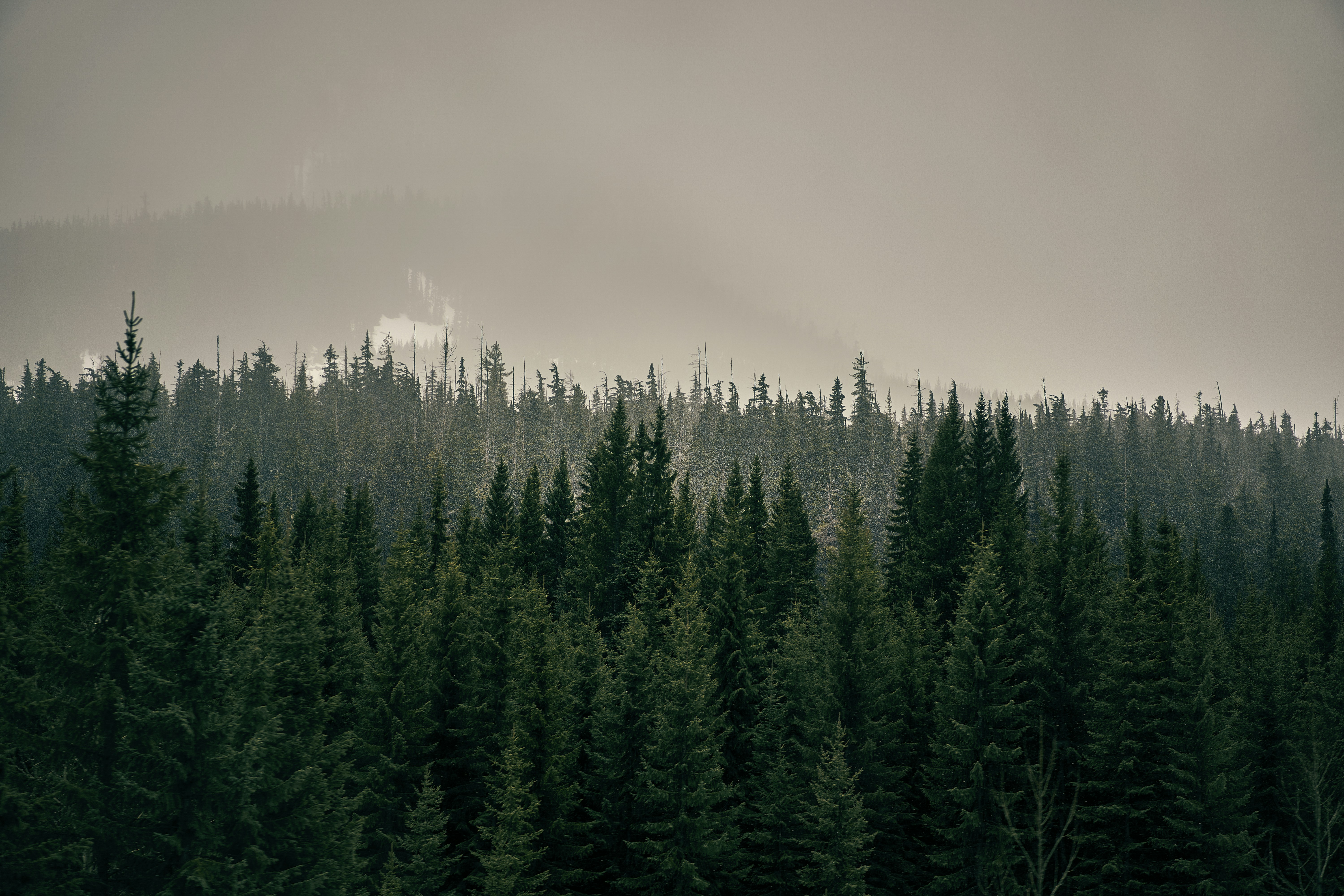 Photo by suicide_chewbacca