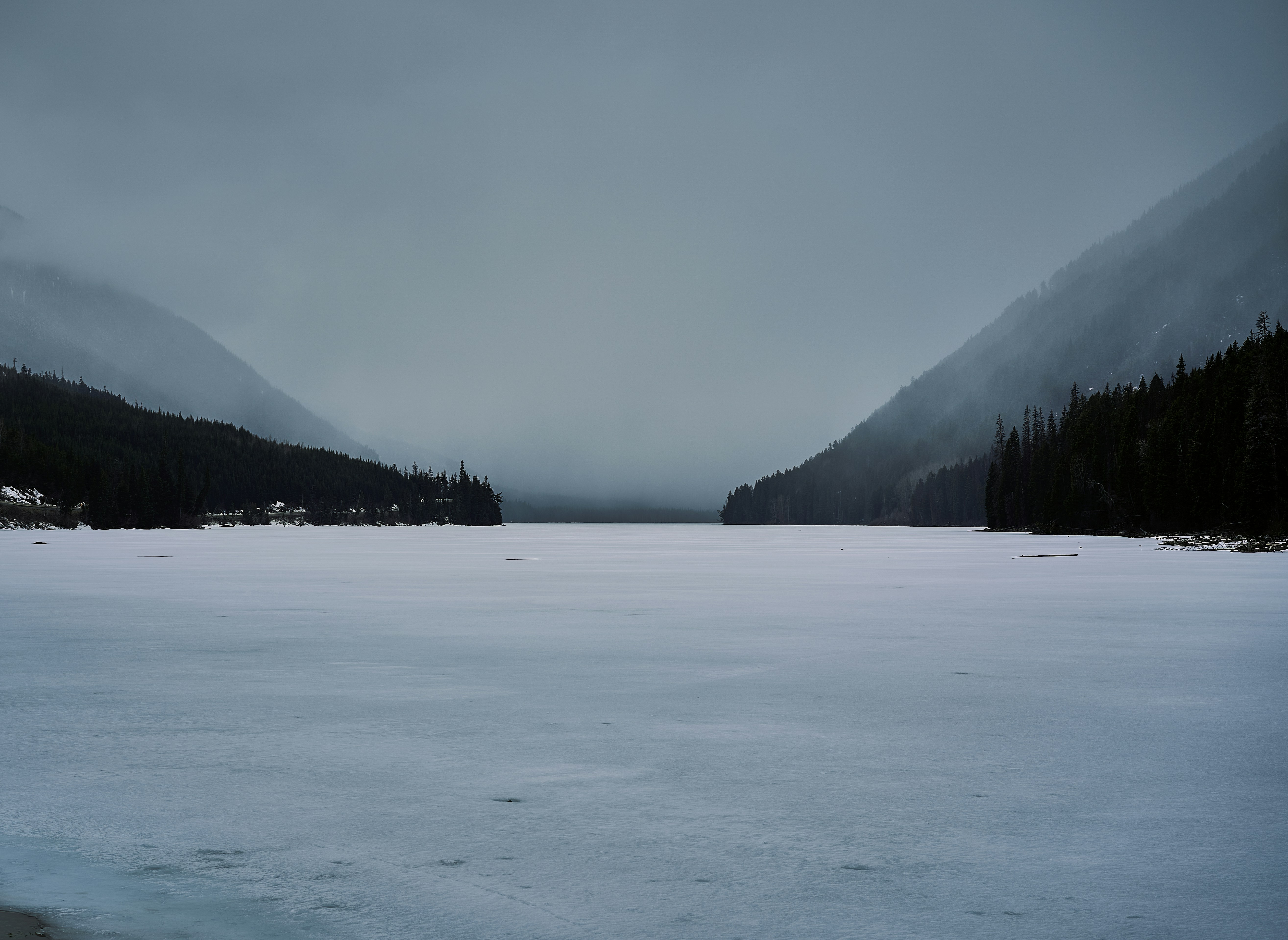 Photo by suicide_chewbacca