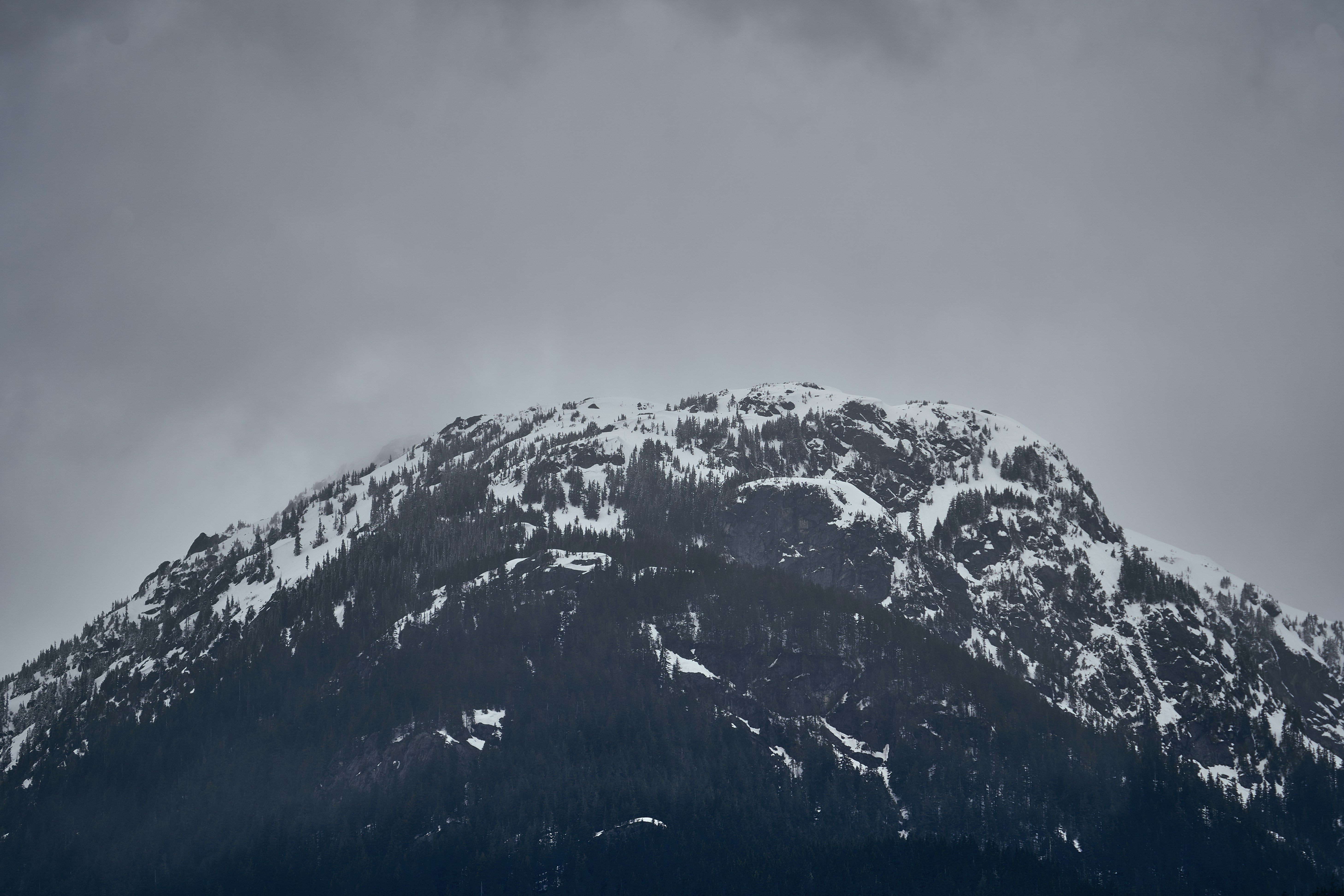 Photo by suicide_chewbacca