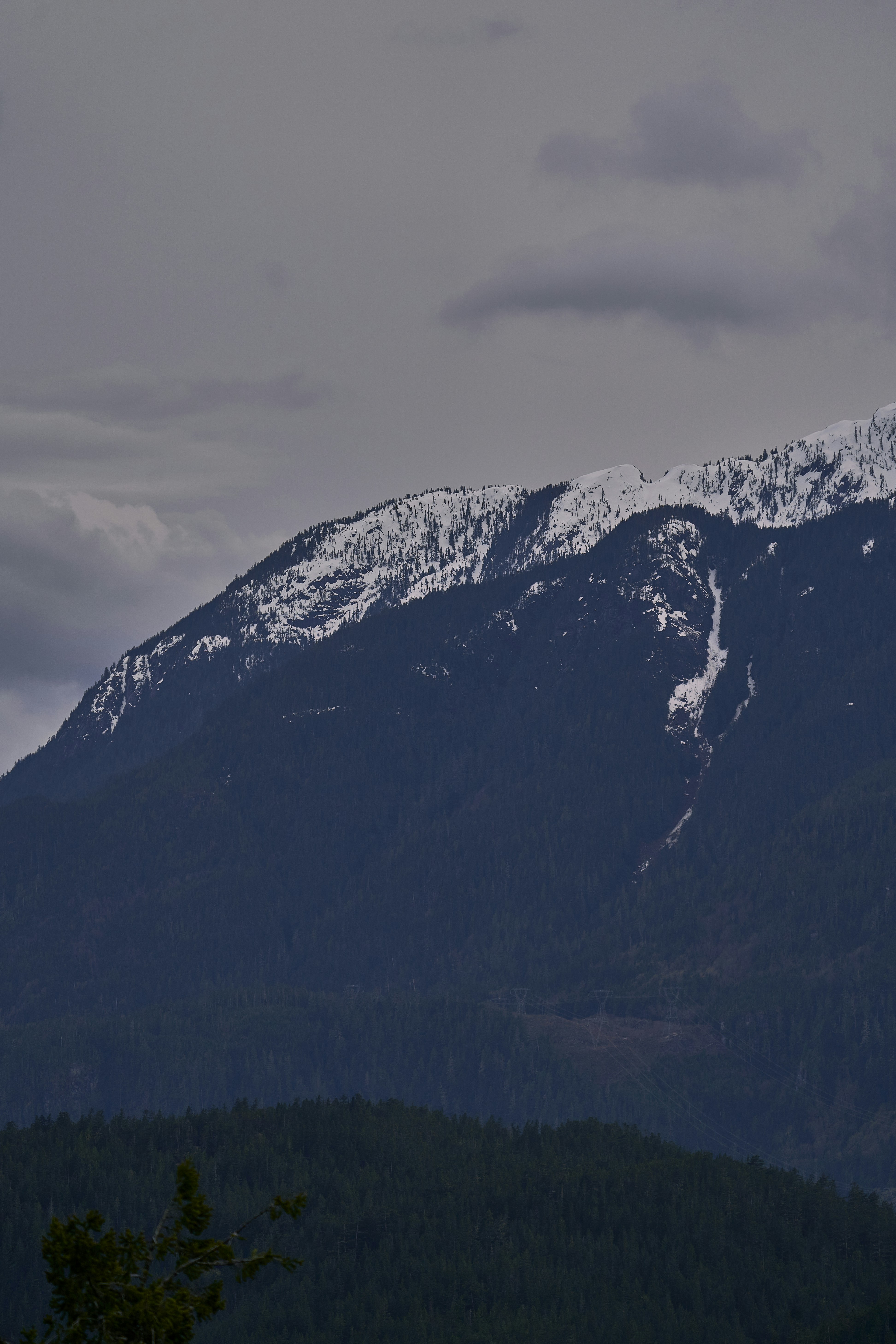 Photo by suicide_chewbacca