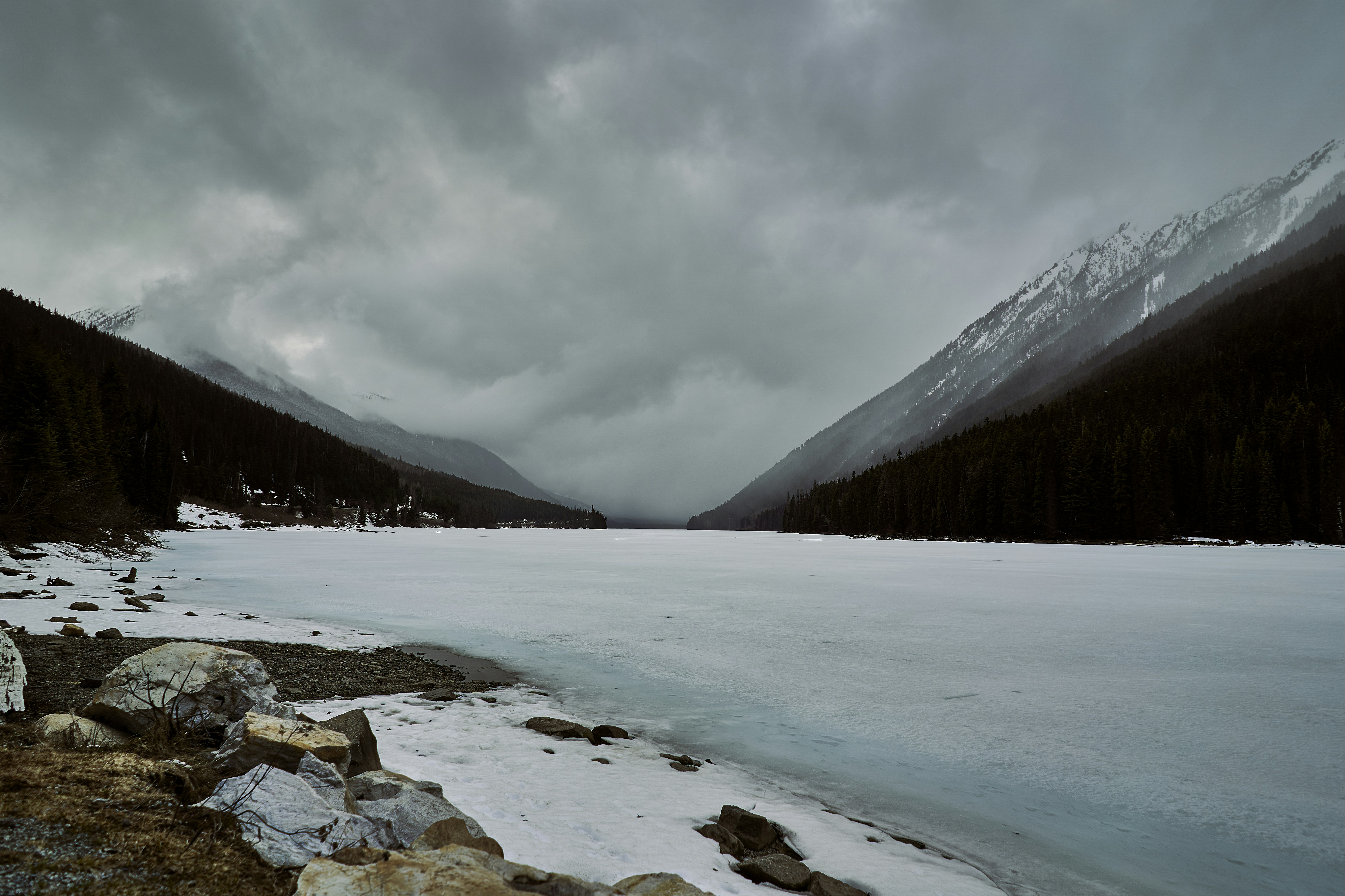 Photo by suicide_chewbacca