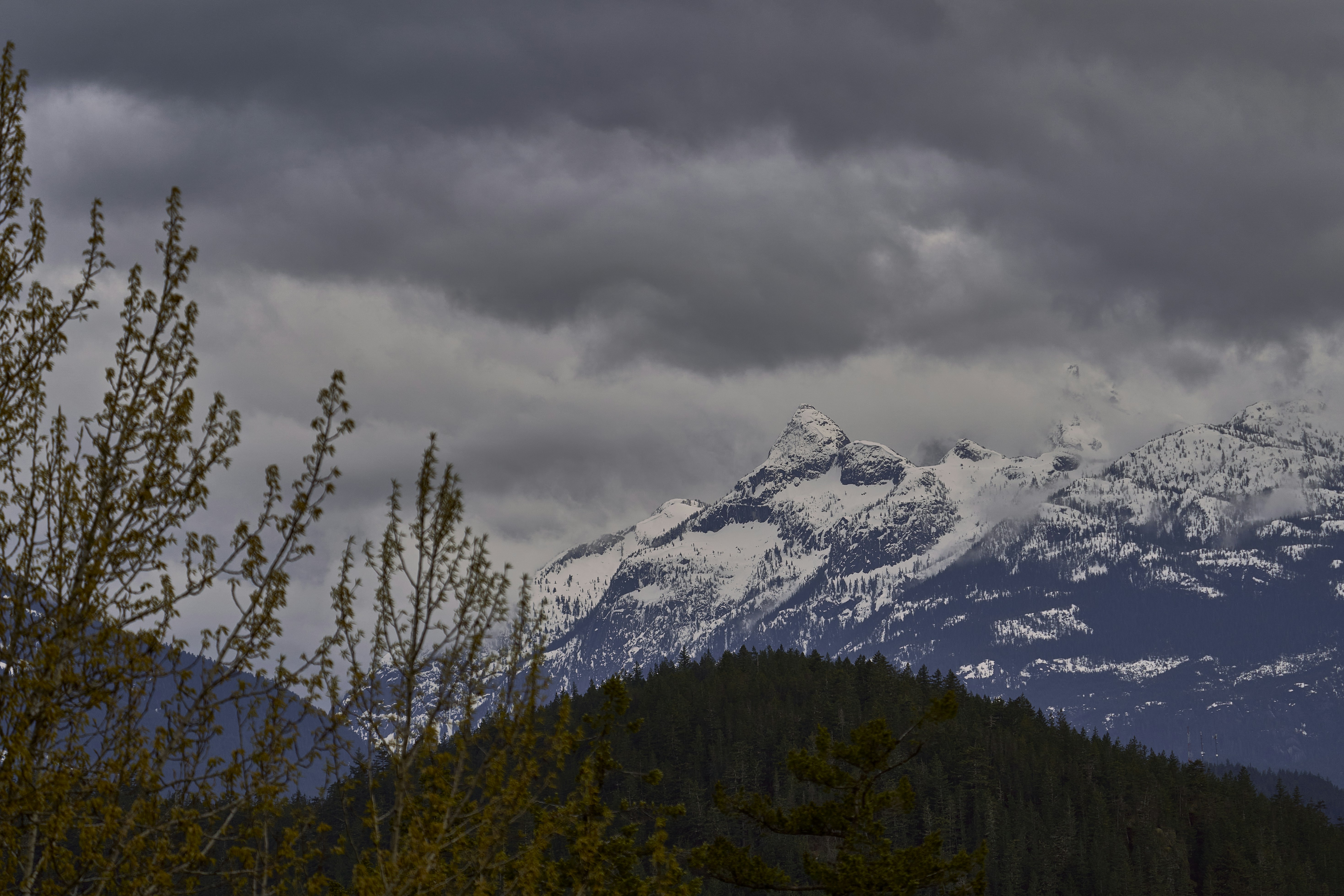 Photo by suicide_chewbacca