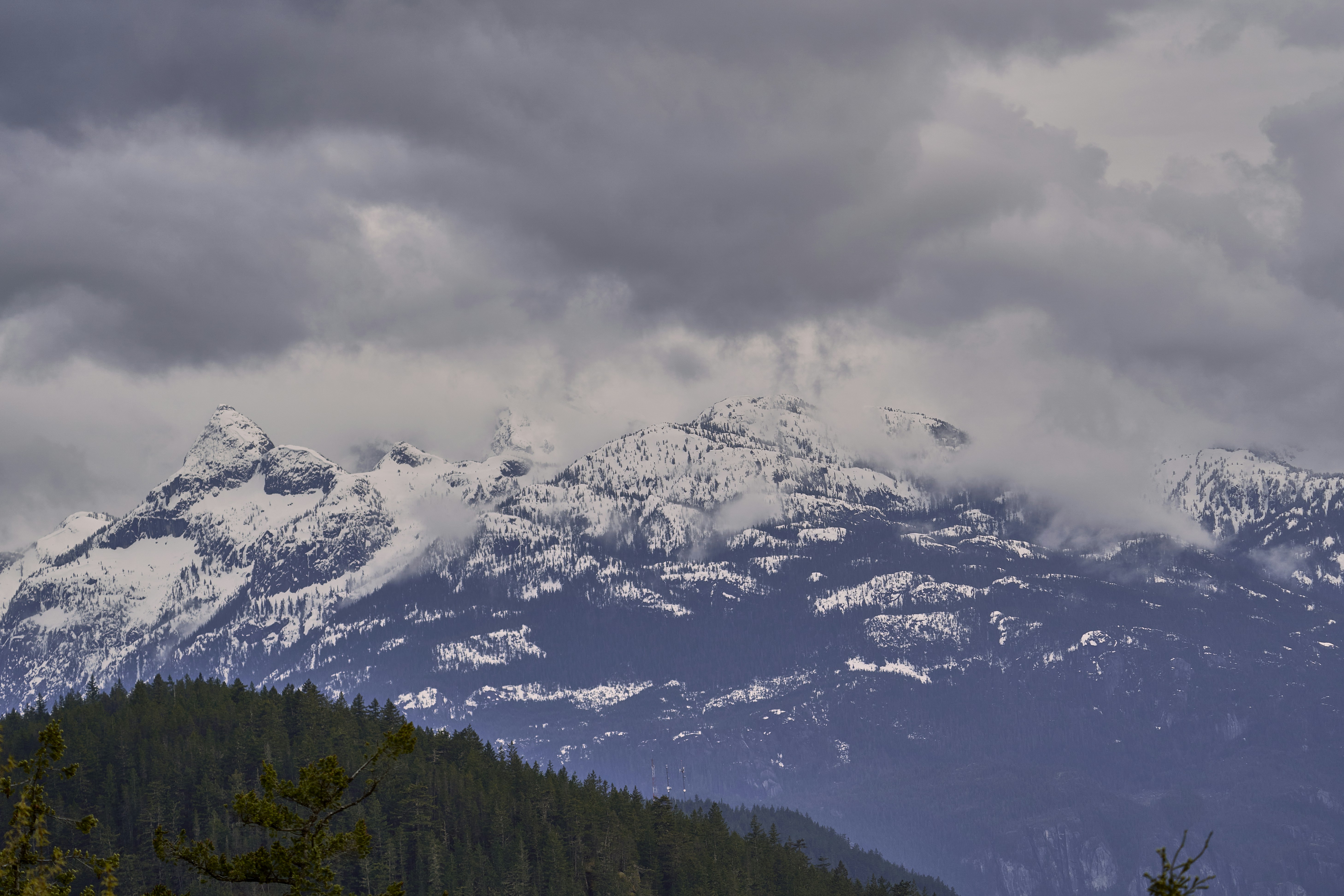 Photo by suicide_chewbacca