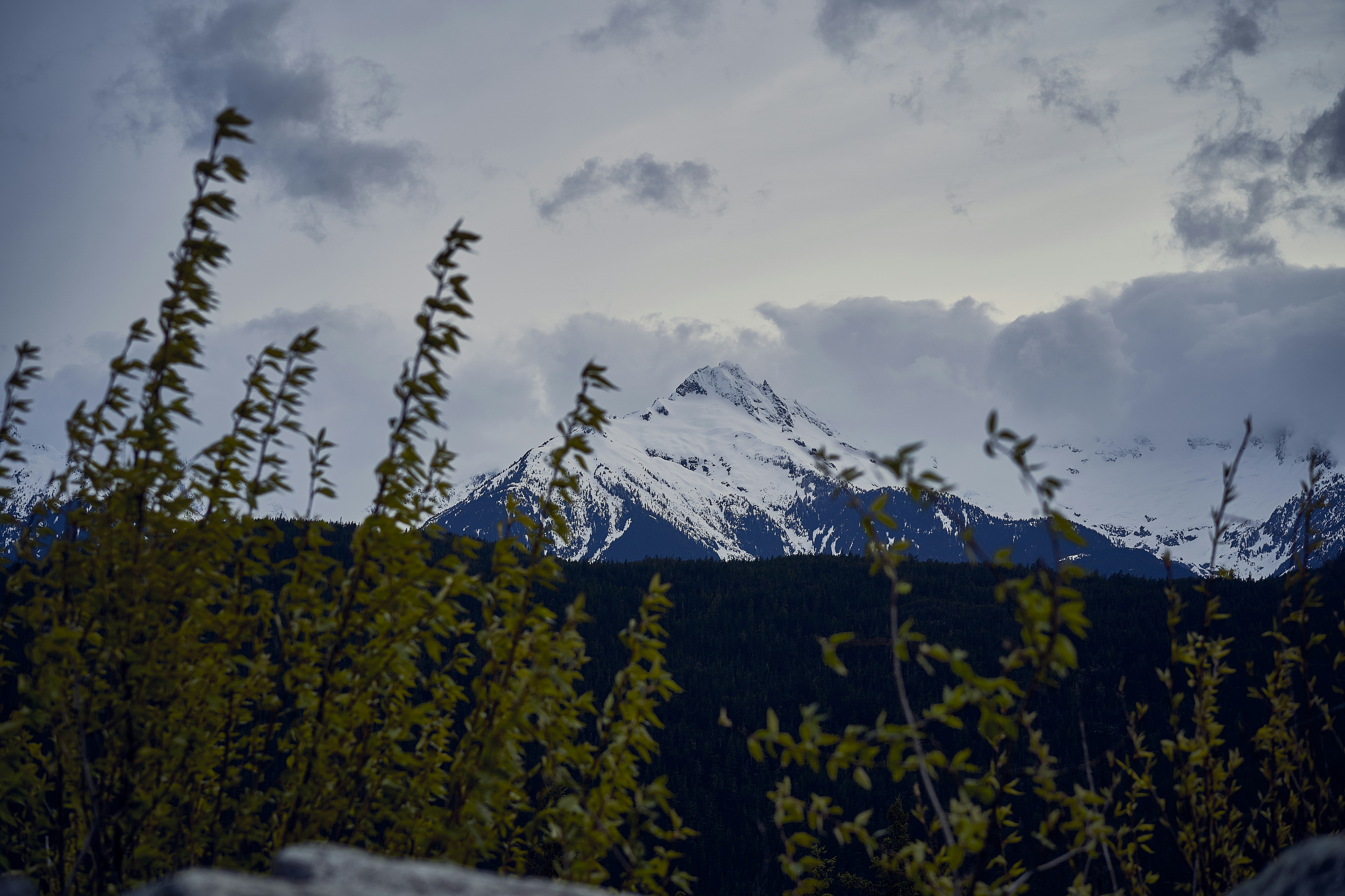 Photo by suicide_chewbacca