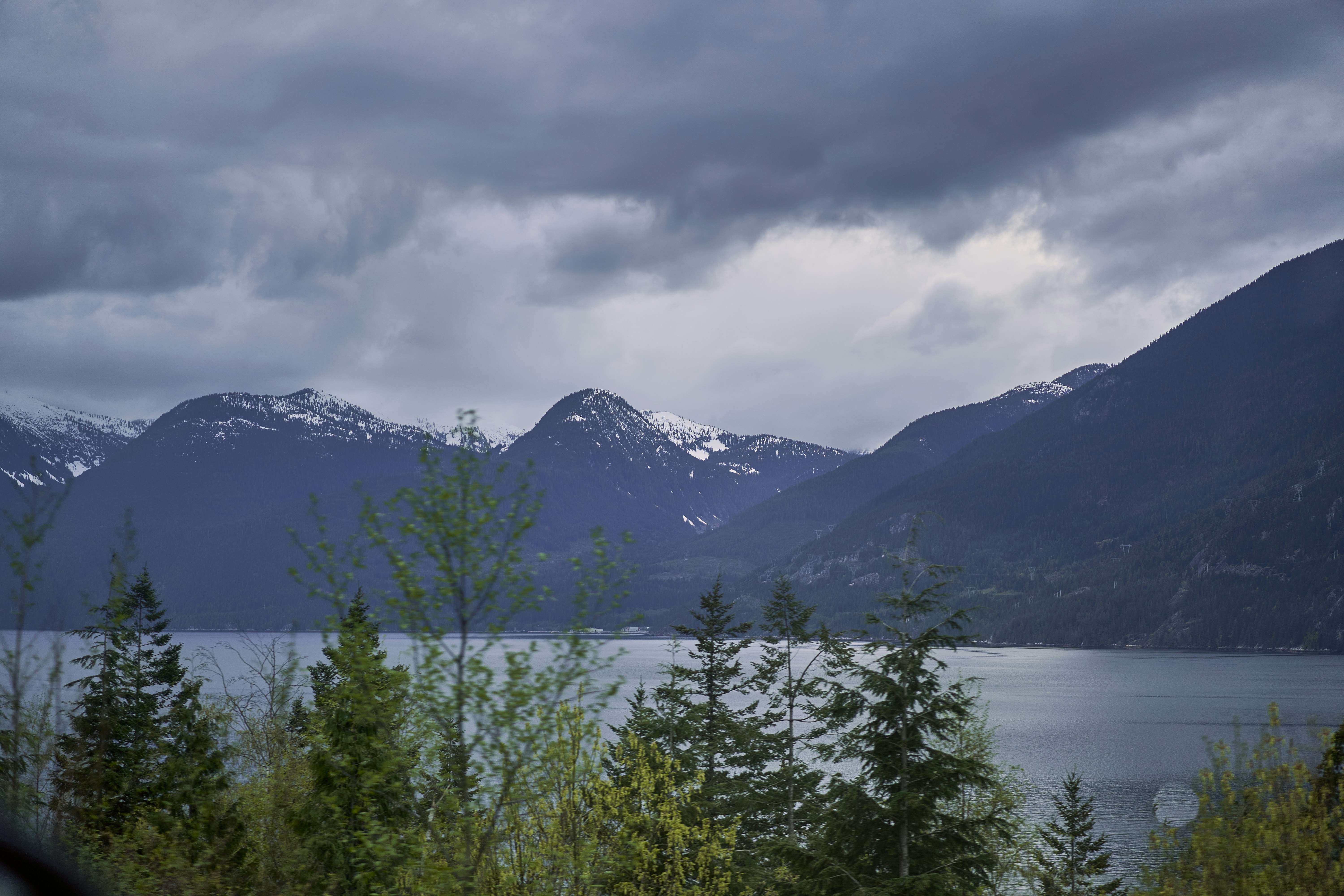 Photo by suicide_chewbacca