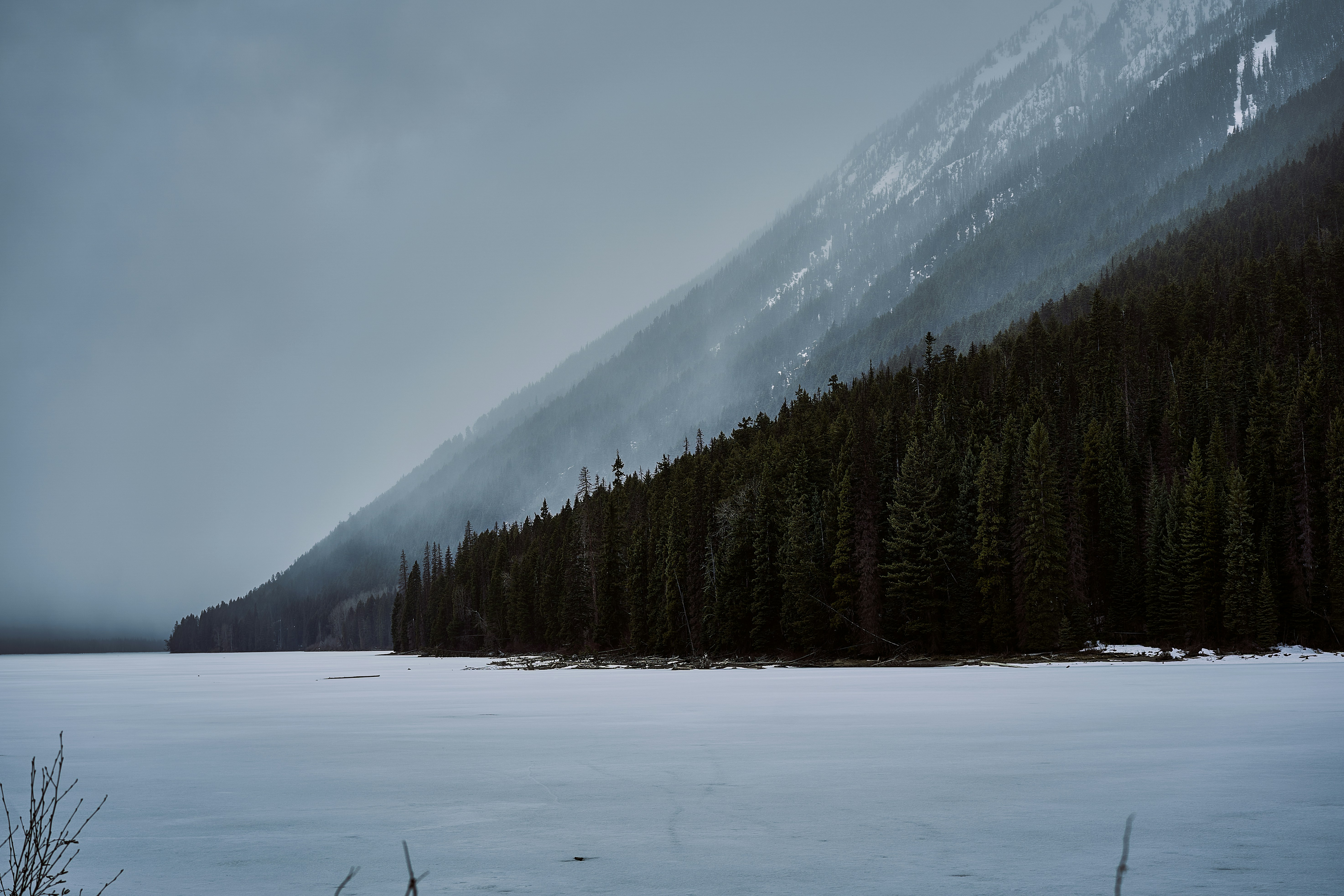 Photo by suicide_chewbacca