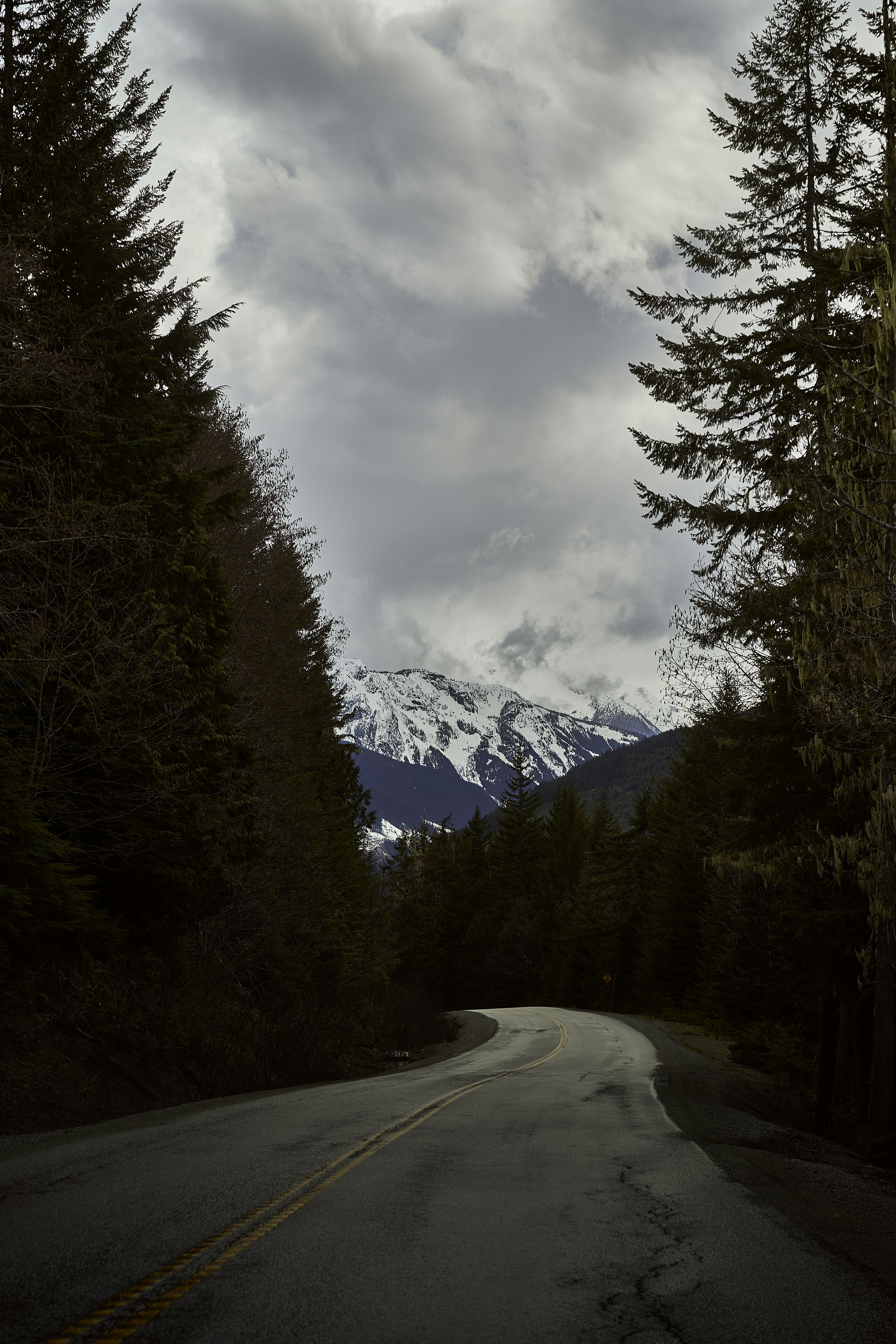 a road with trees on the side and mountains in the background