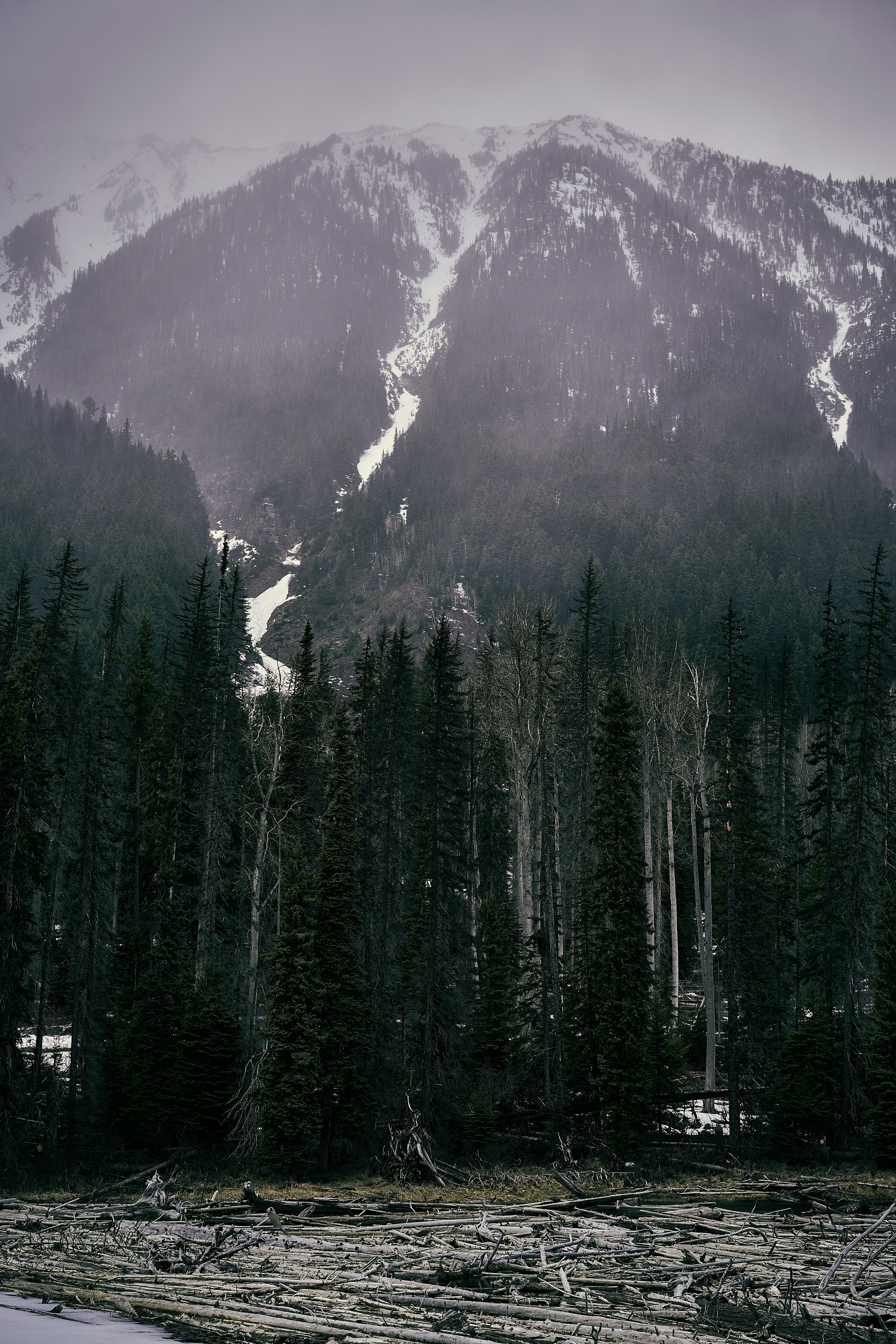 Photo by suicide_chewbacca