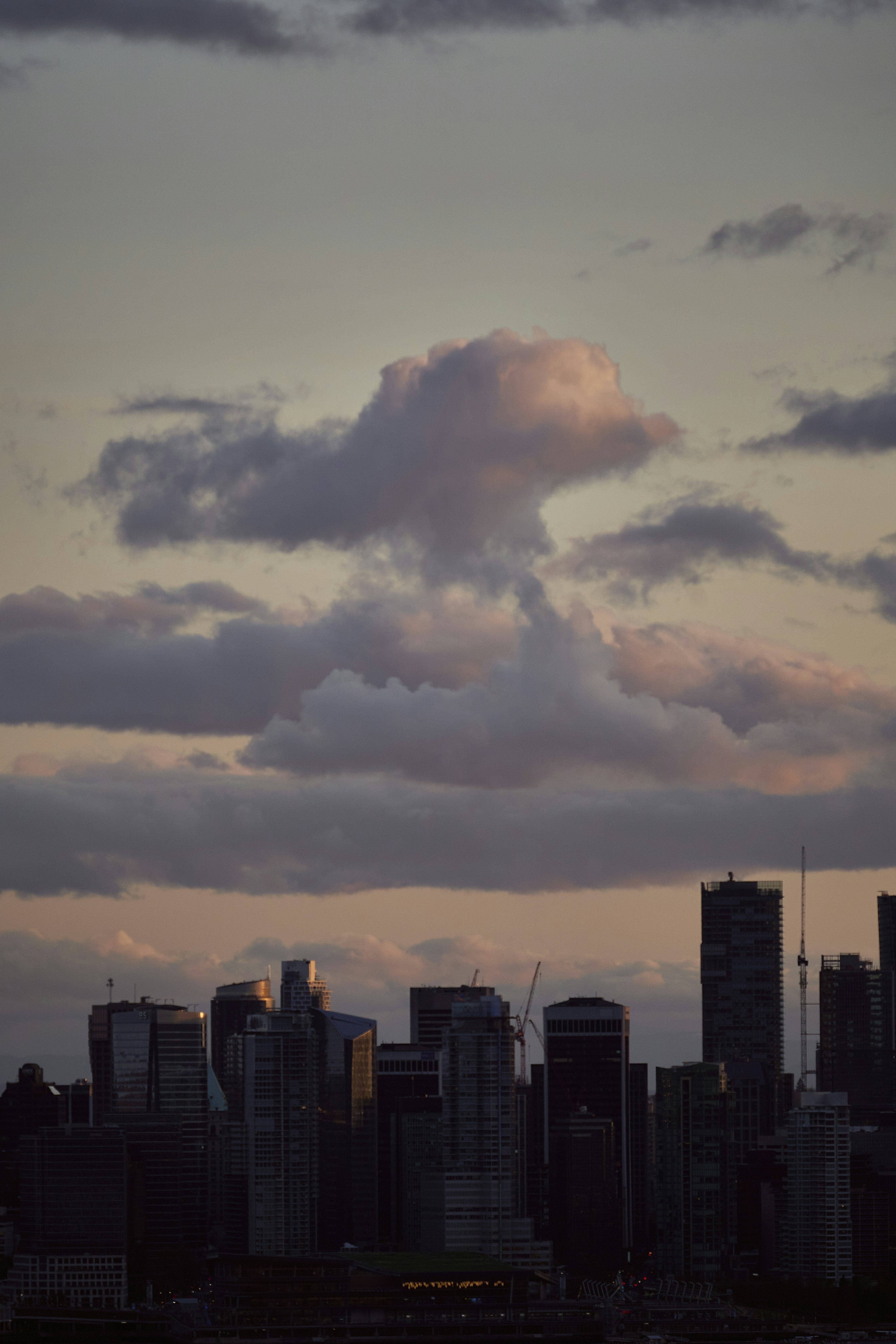 Photo by suicide_chewbacca