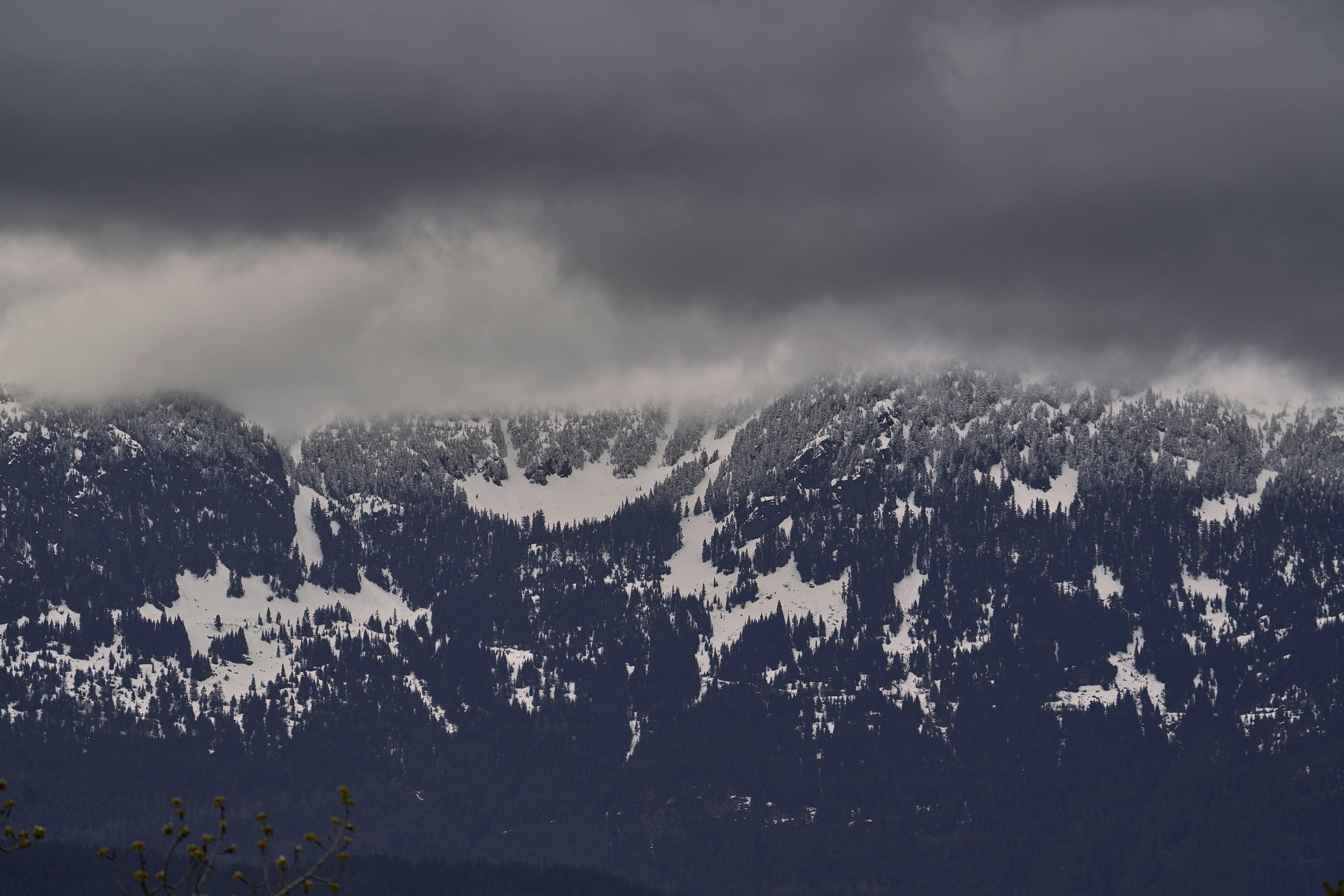 Photo by suicide_chewbacca