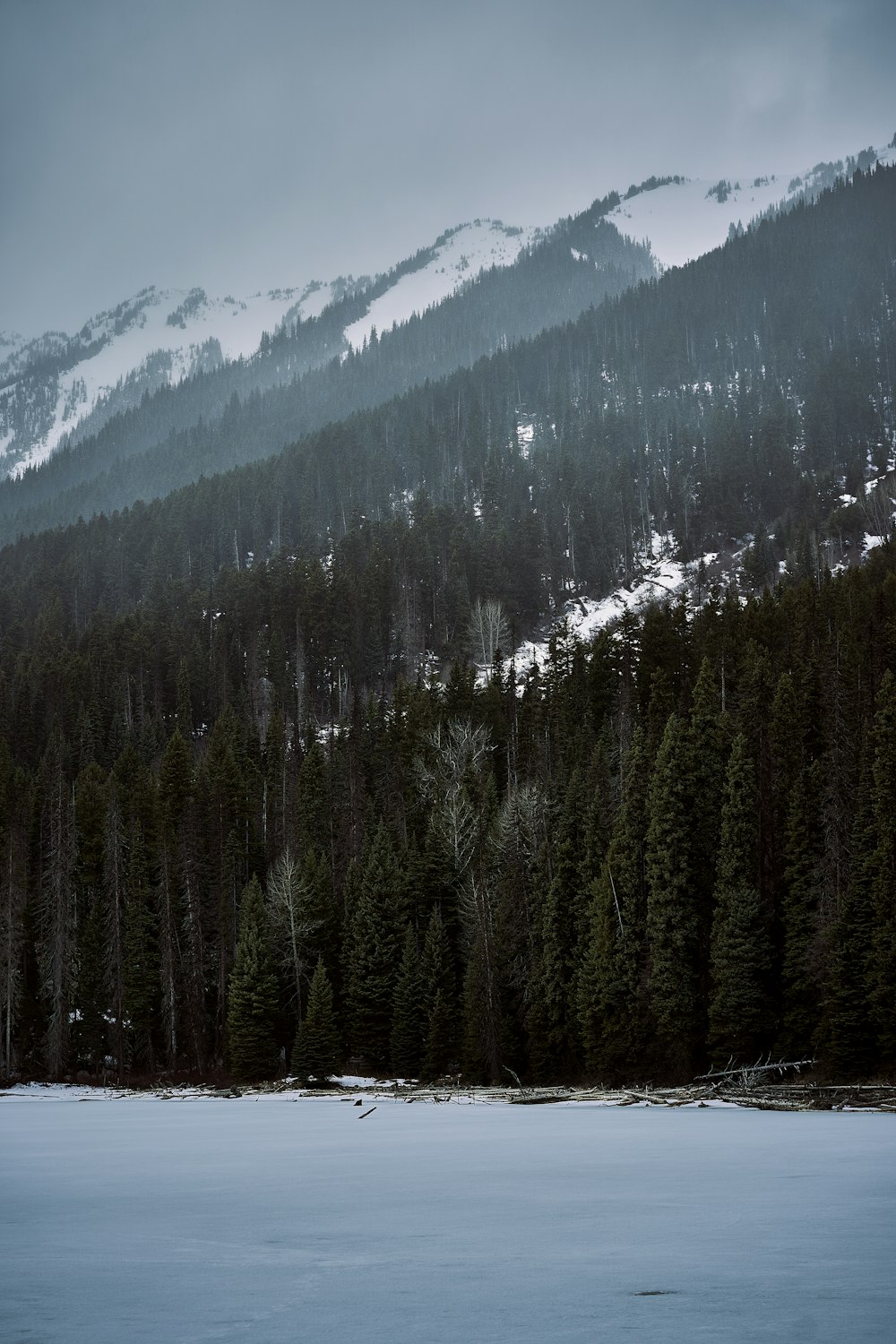 a snowy mountain with trees