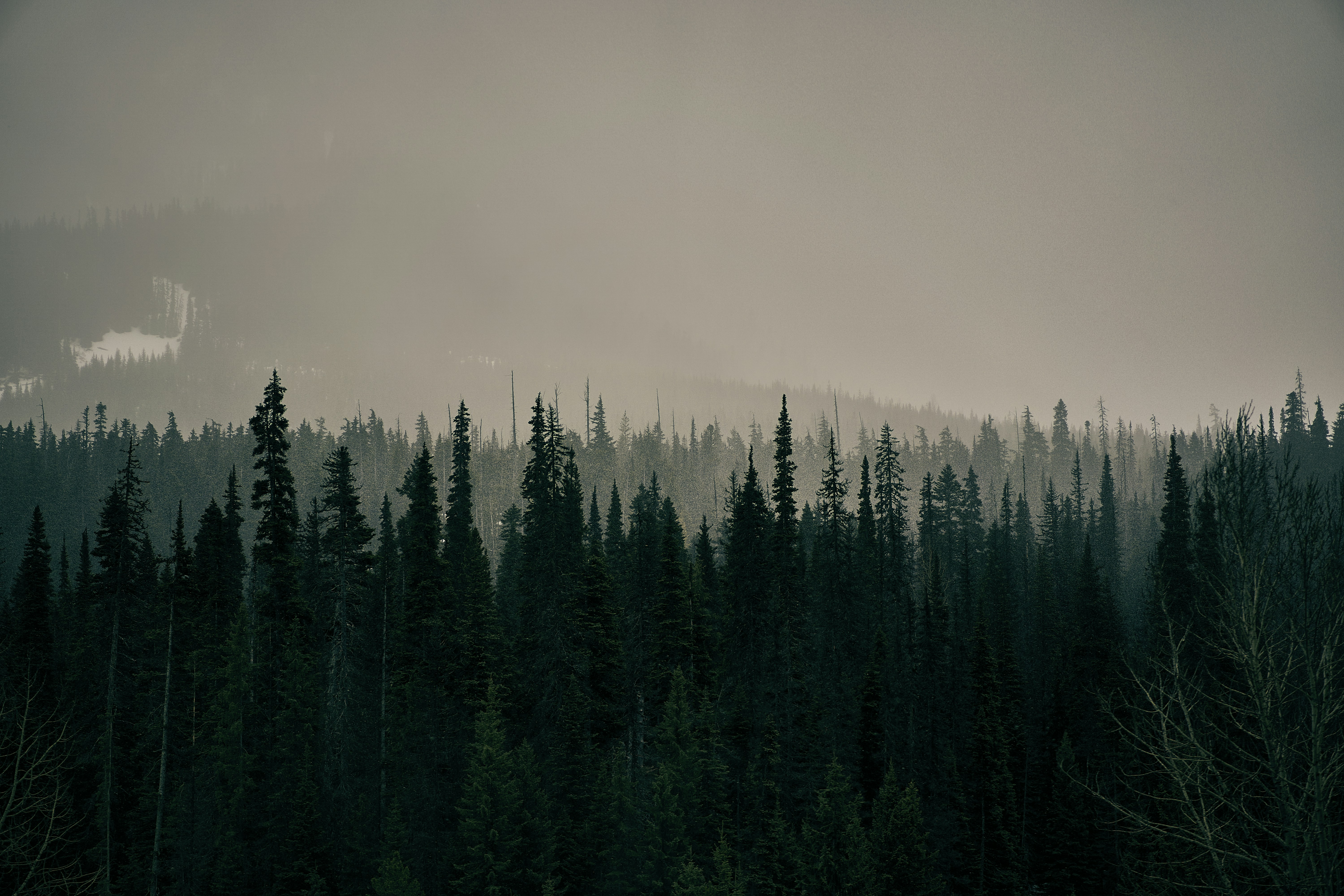 Photo by suicide_chewbacca