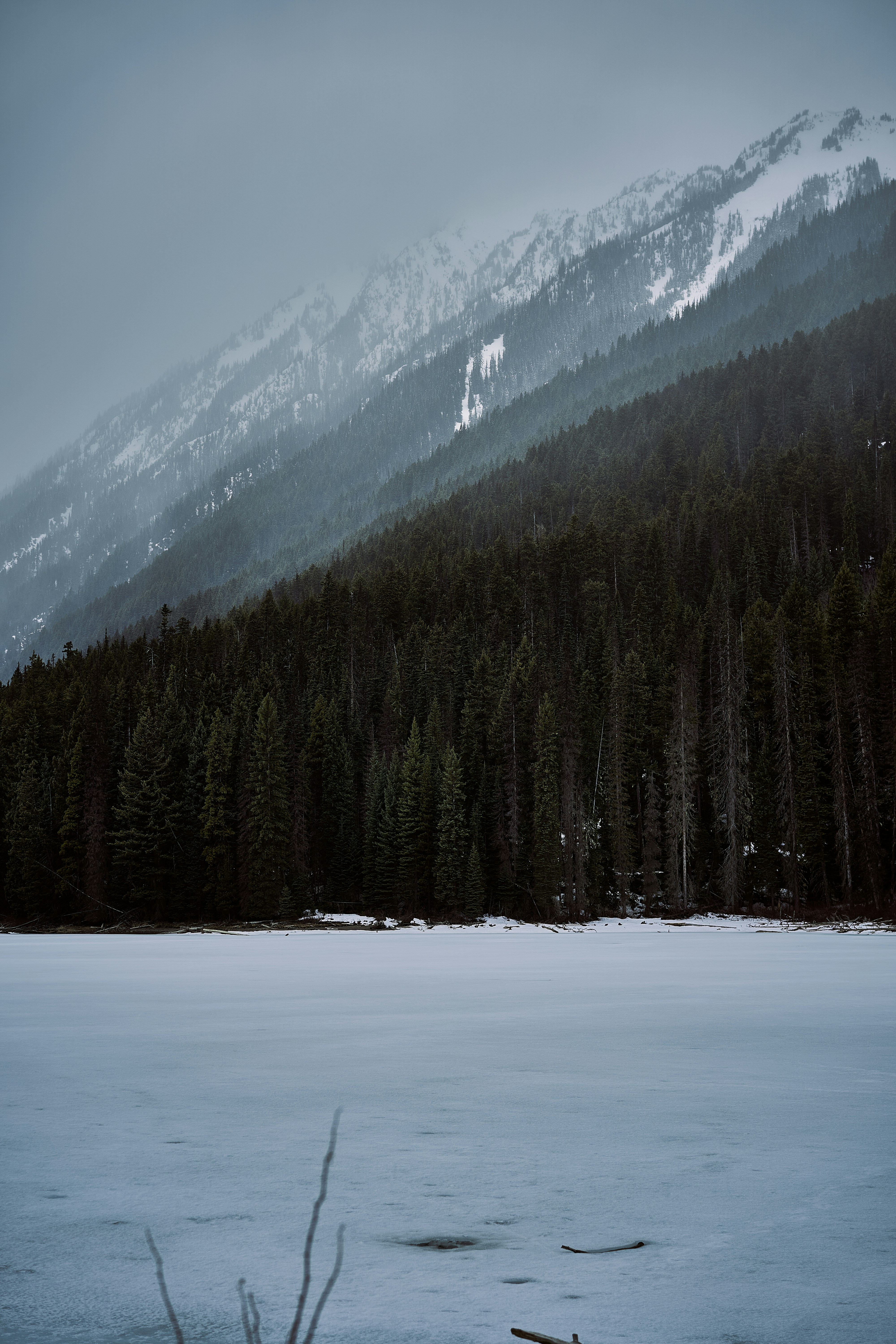 Photo by suicide_chewbacca