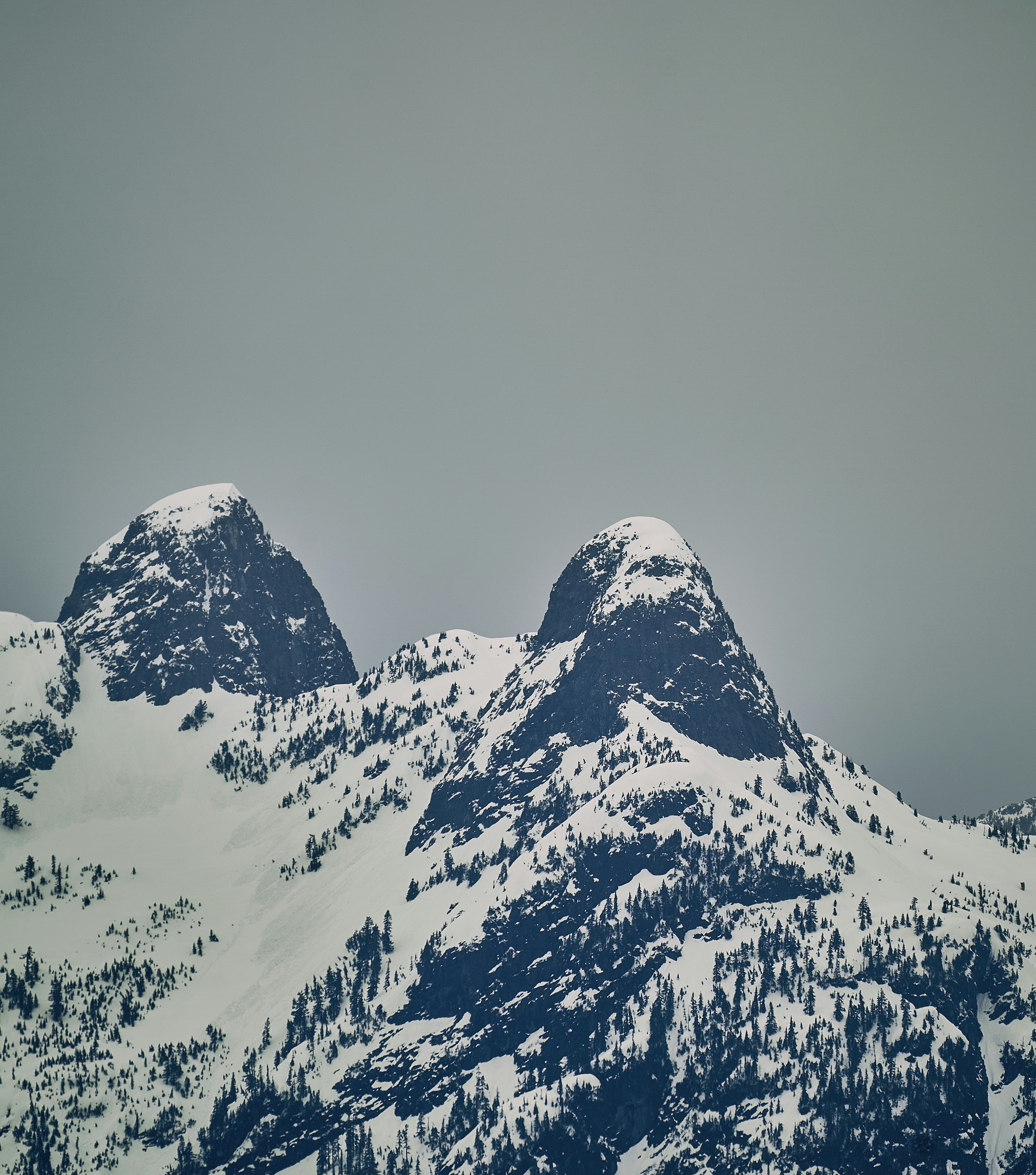 a snowy mountain with trees