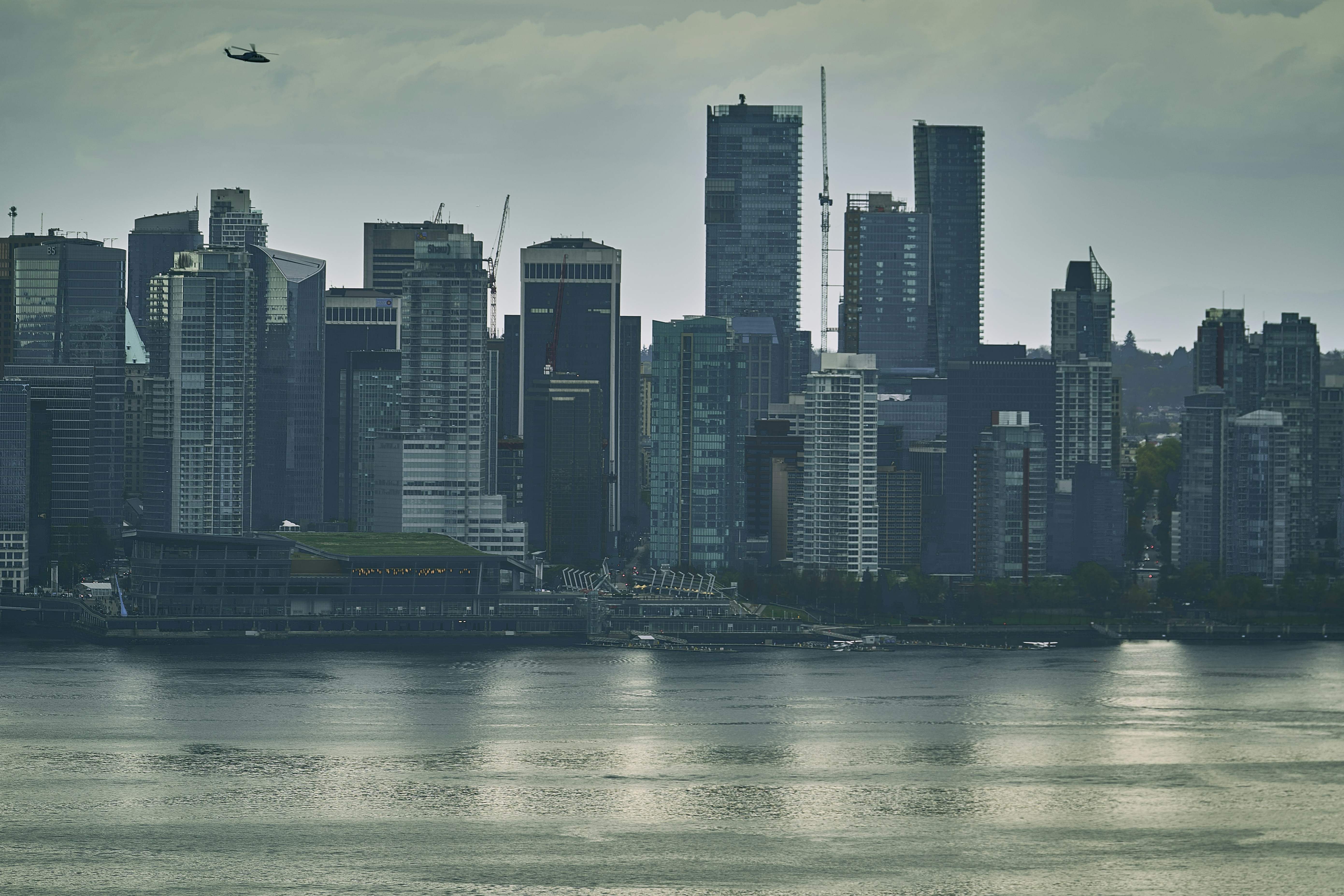 Photo by suicide_chewbacca