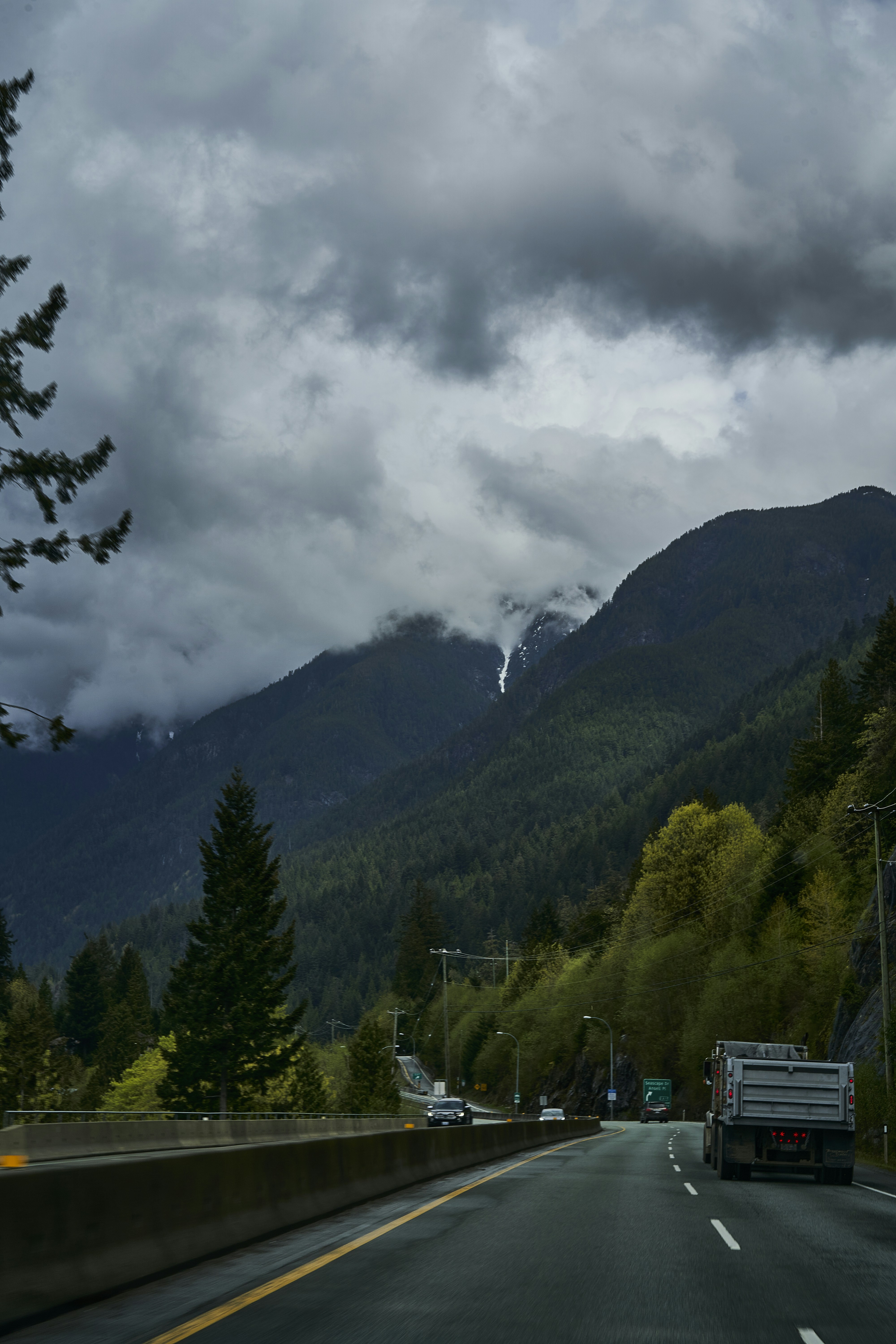 a road with trees and mountains in the background