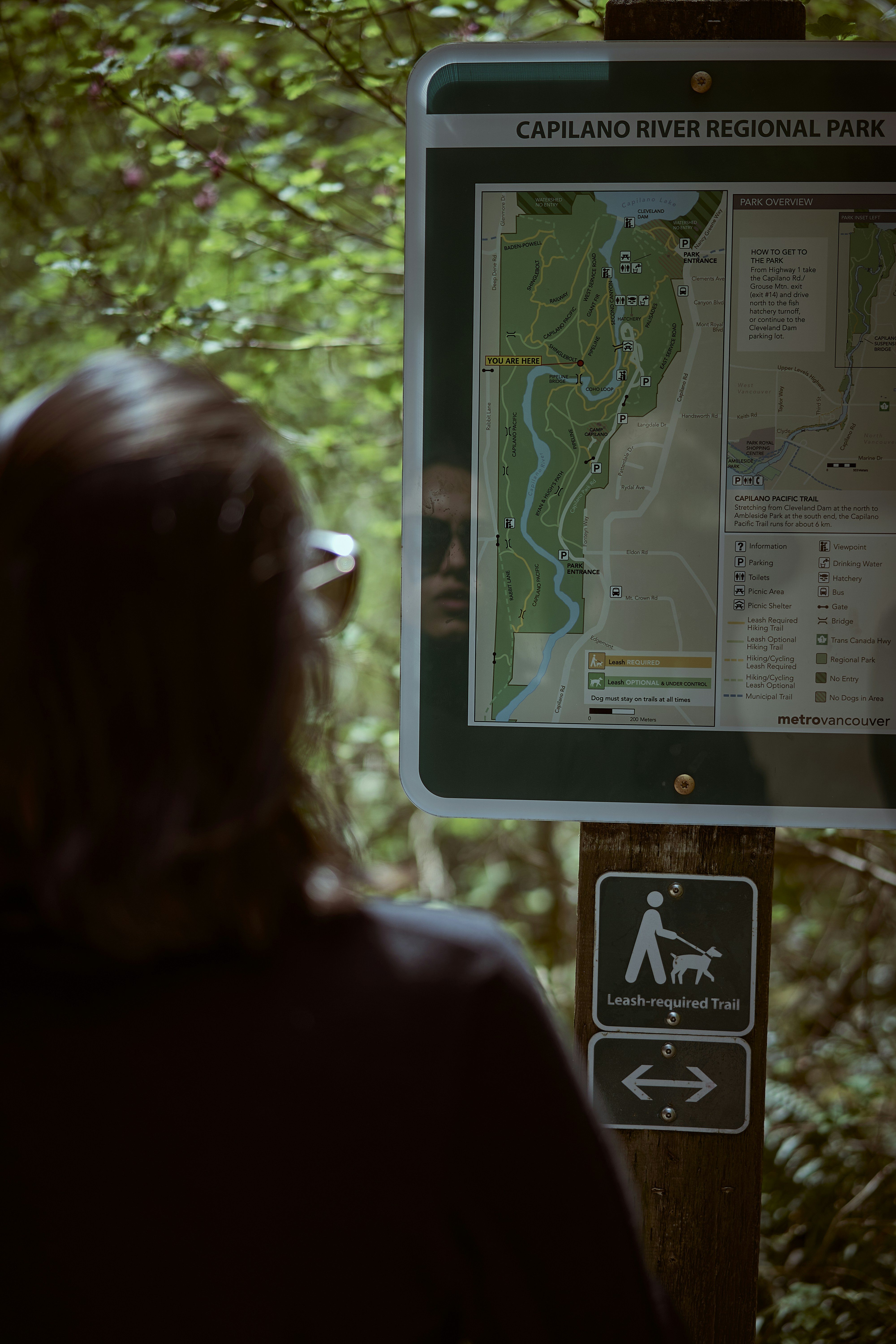 a person looking at a map