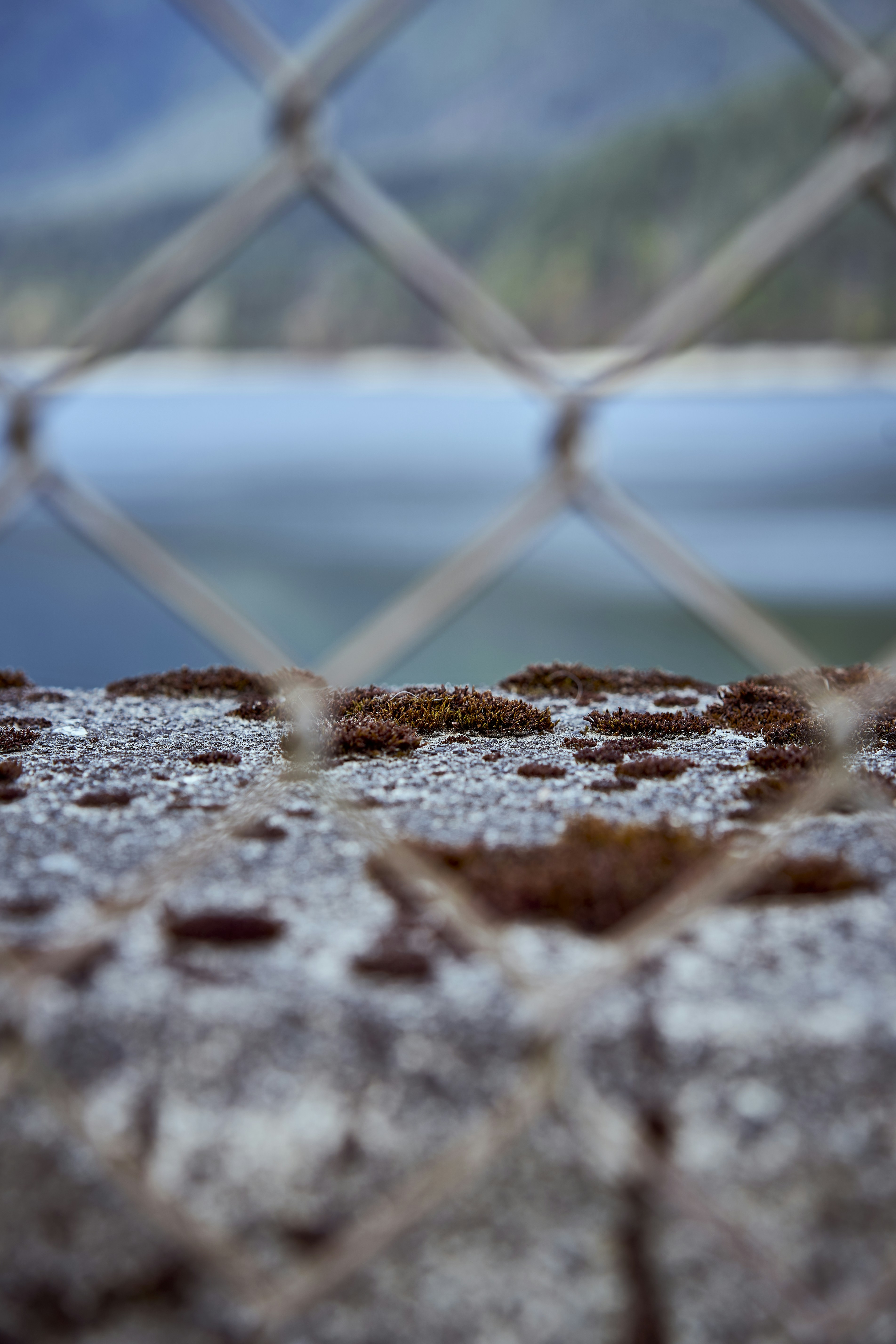 a close up of some snow