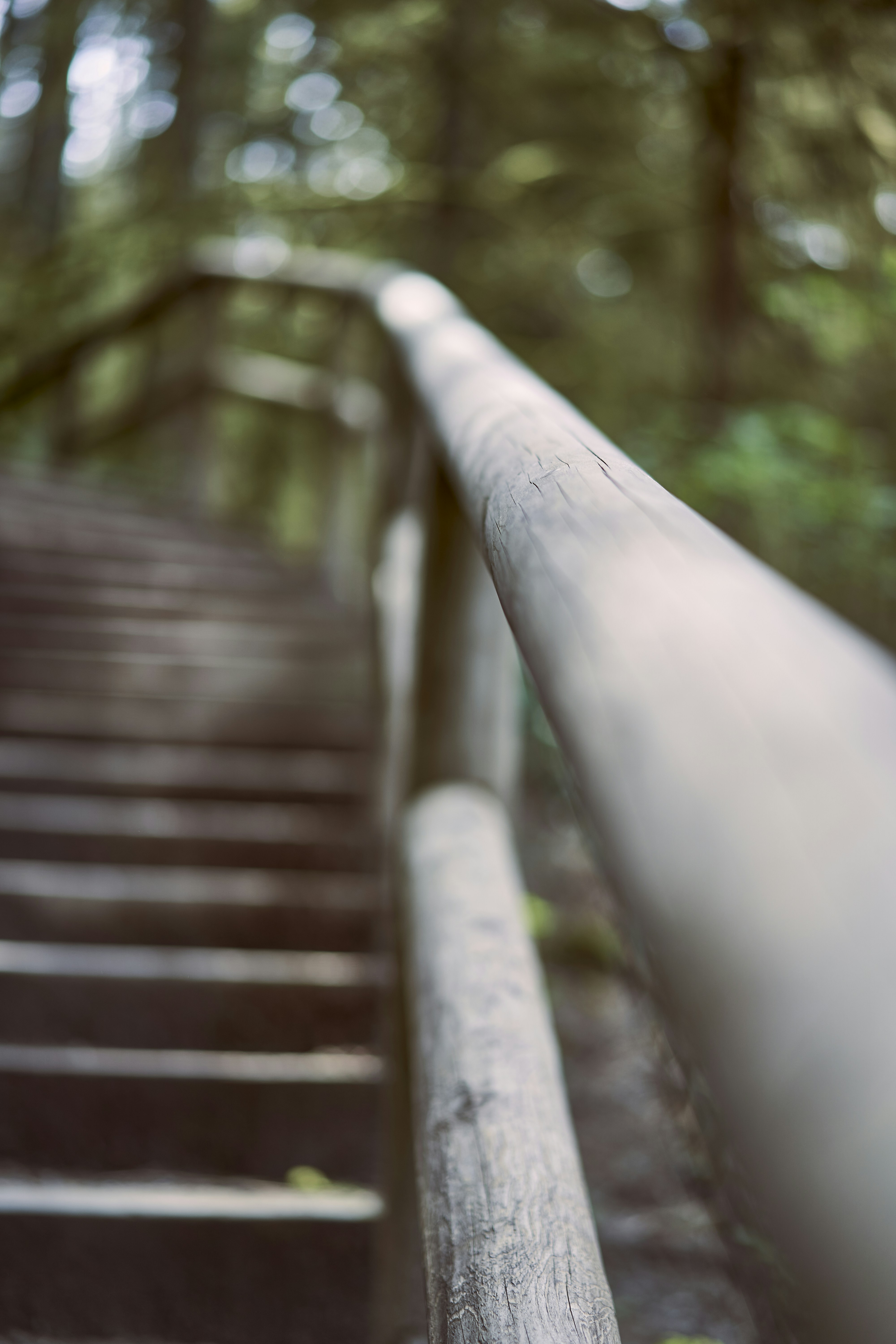 Photo by suicide_chewbacca