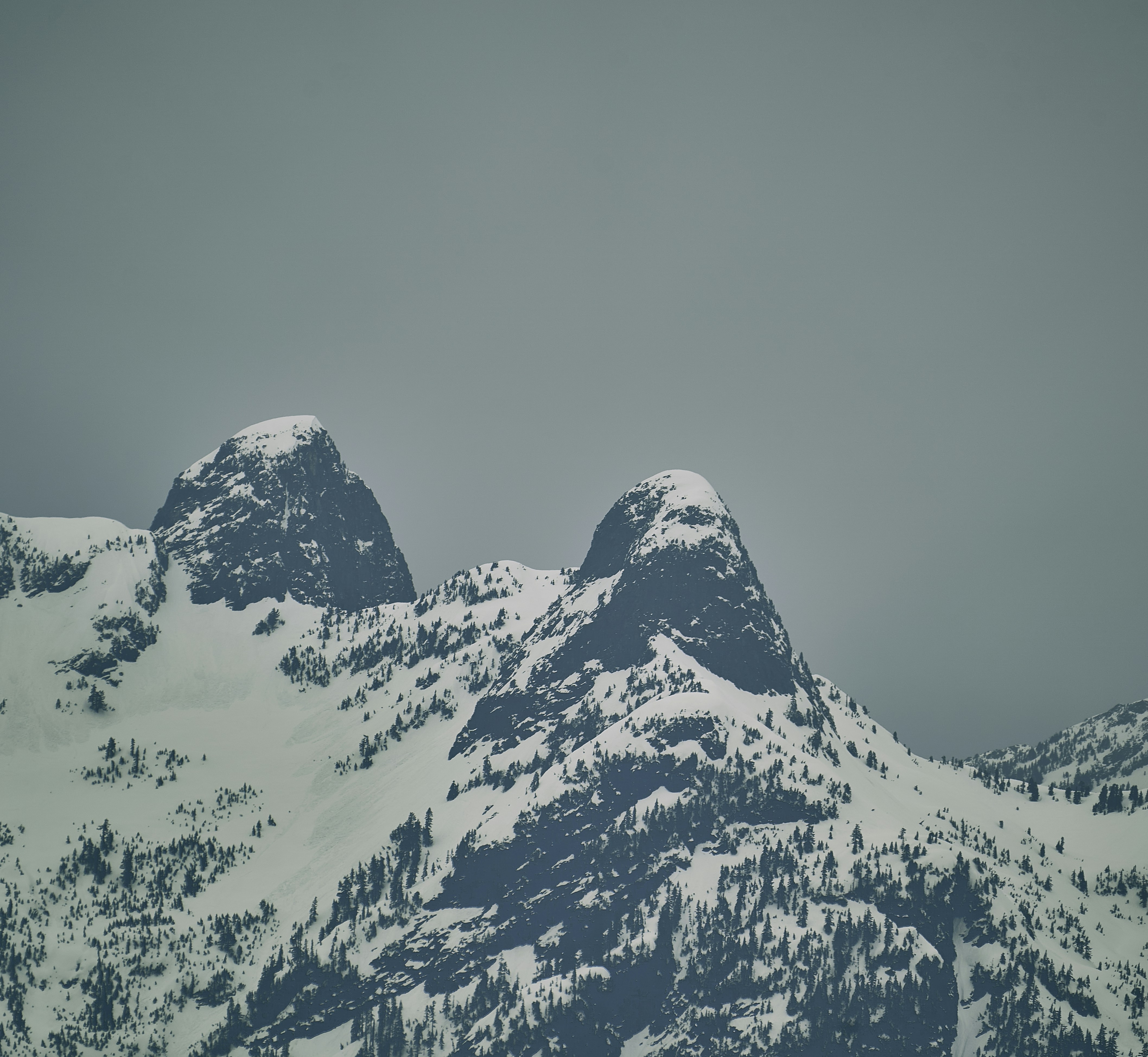 Photo by suicide_chewbacca