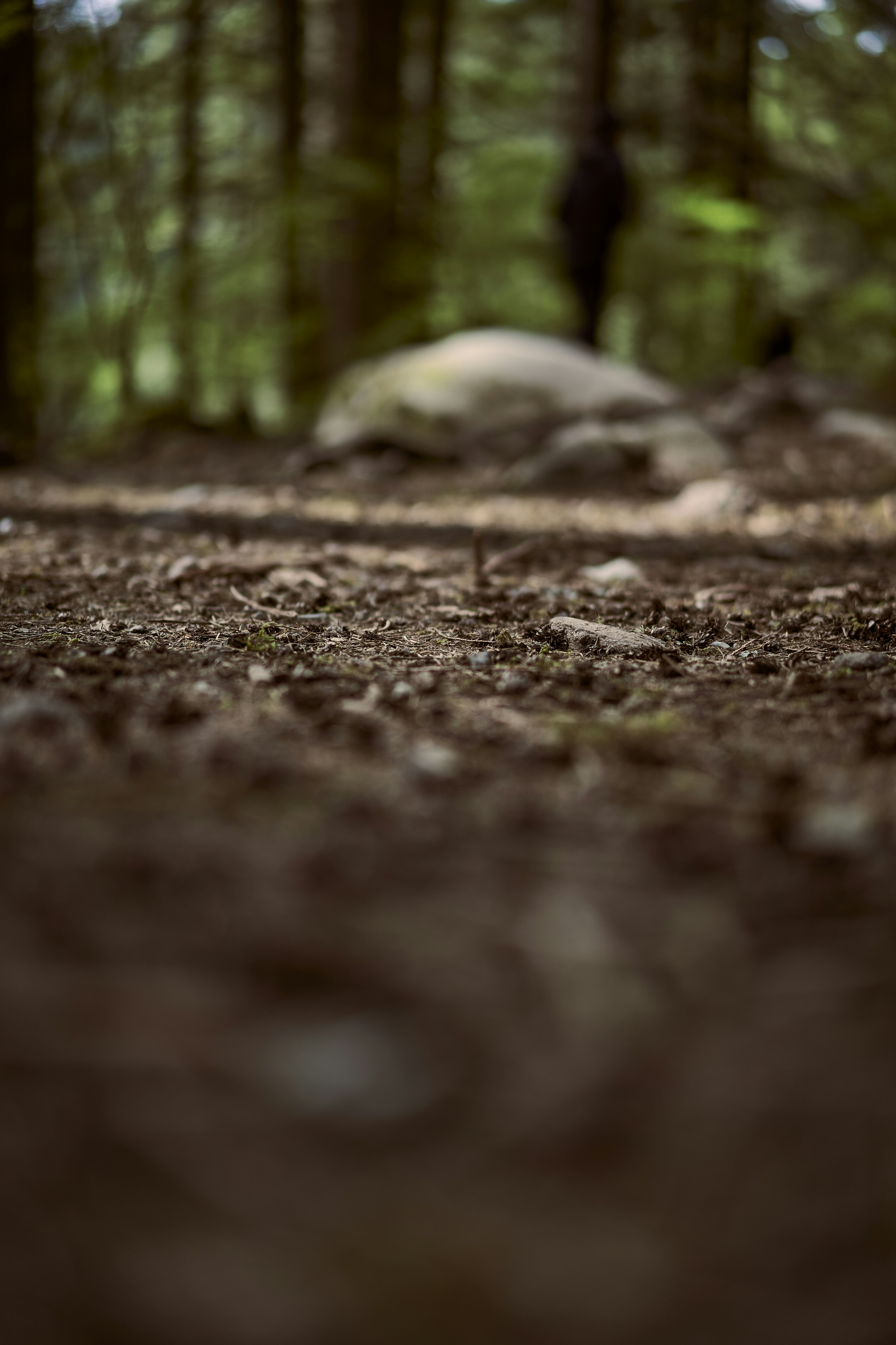 Photo by suicide_chewbacca