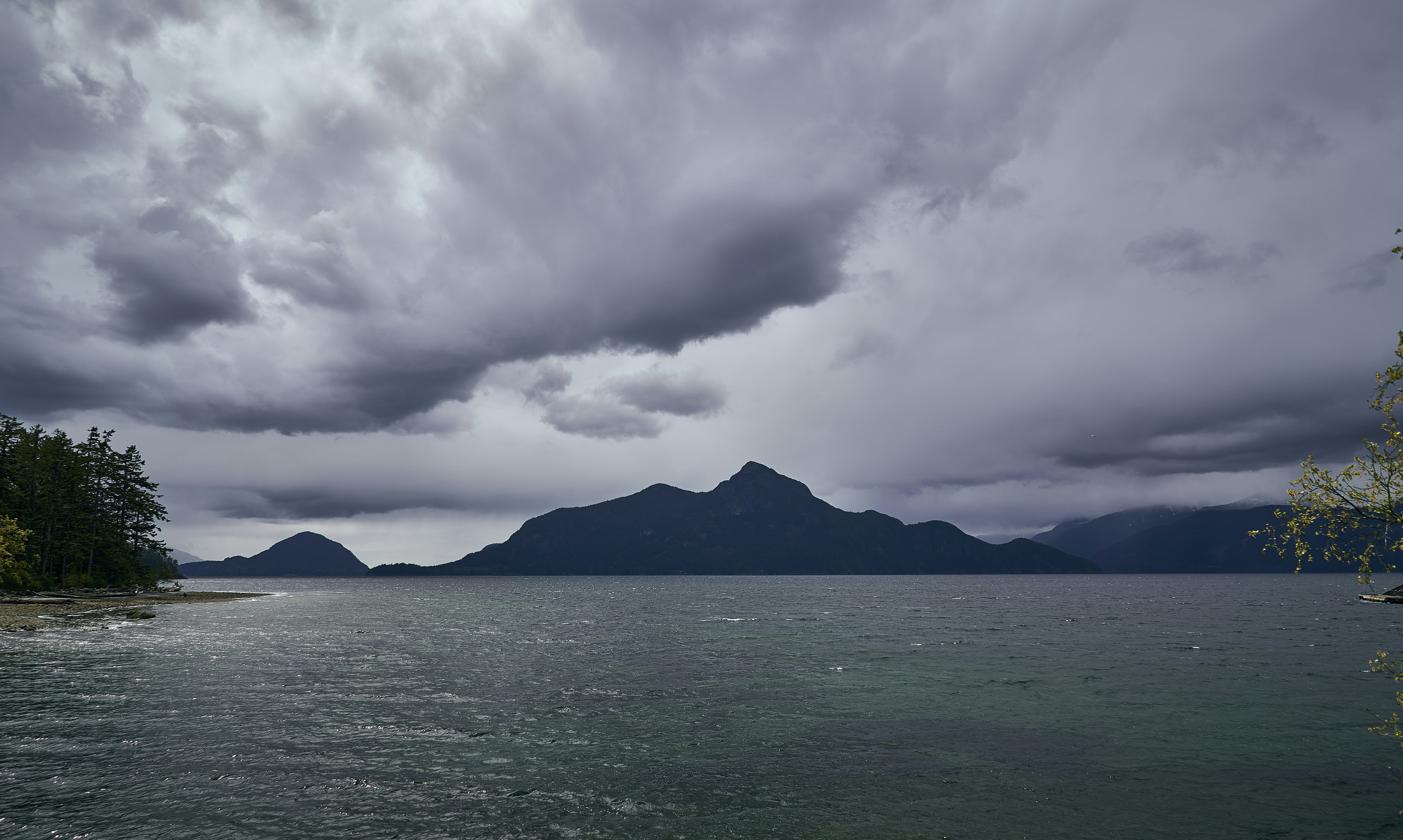 Photo by suicide_chewbacca