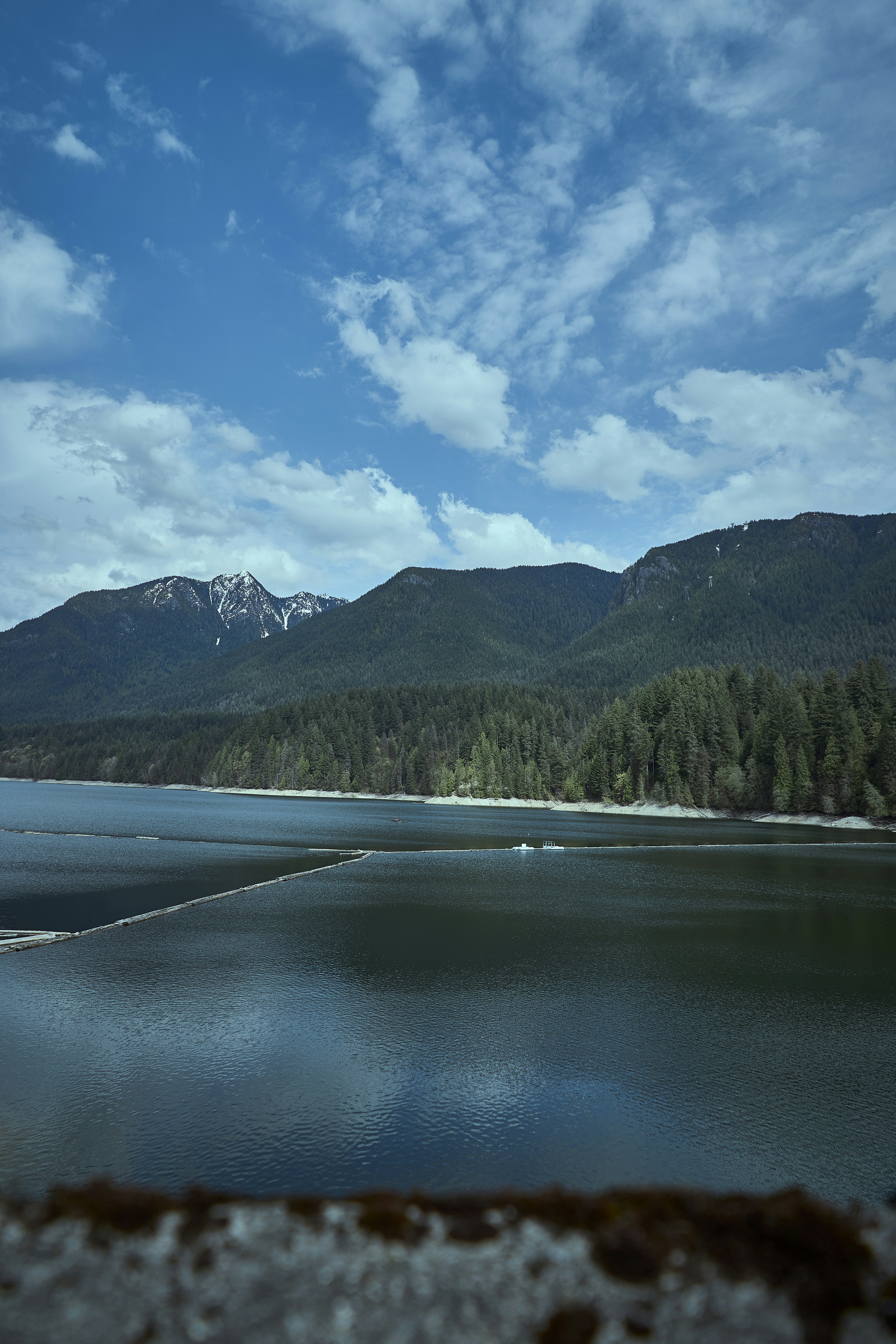 Photo by suicide_chewbacca