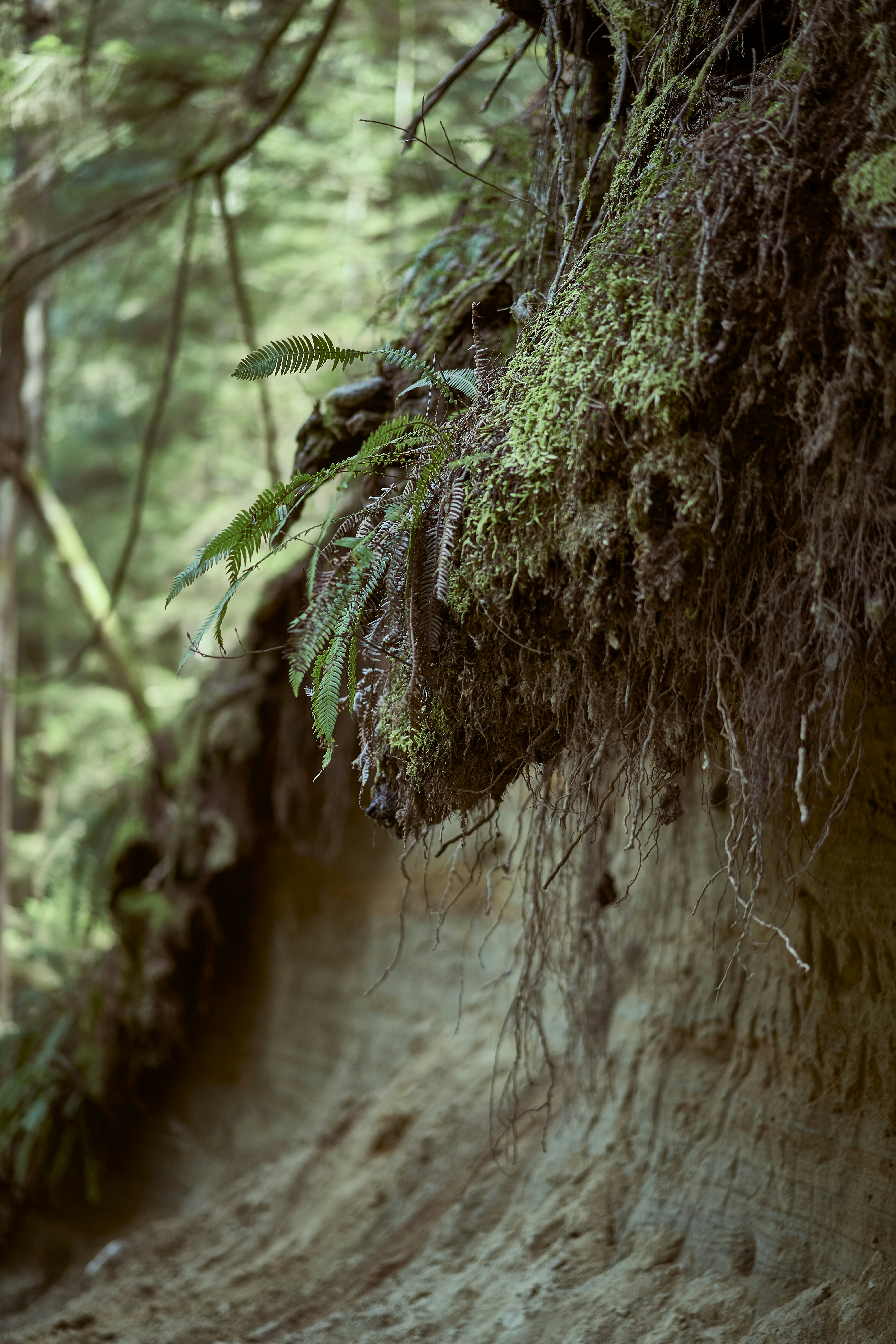 Photo by suicide_chewbacca