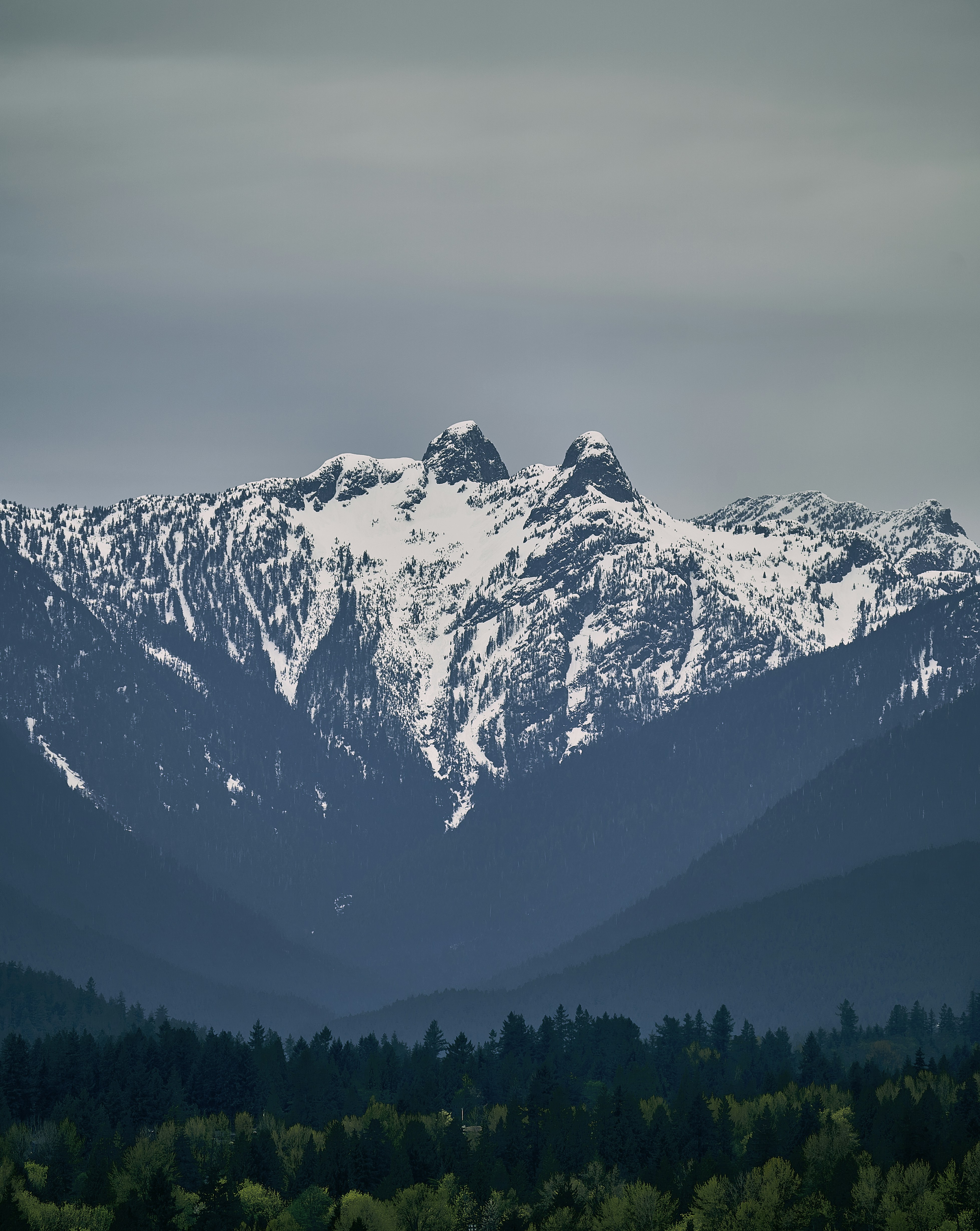 Photo by suicide_chewbacca