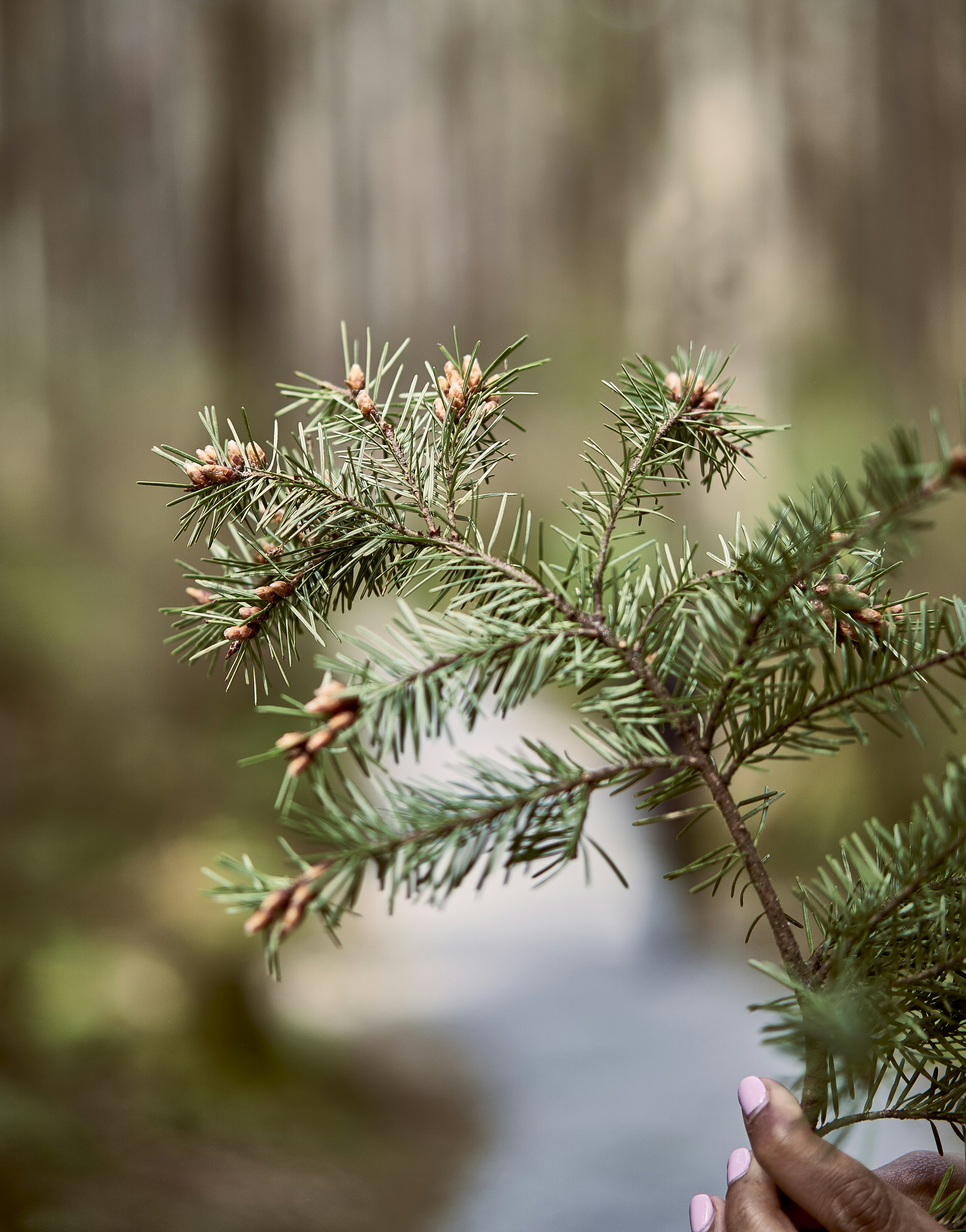 Photo by suicide_chewbacca